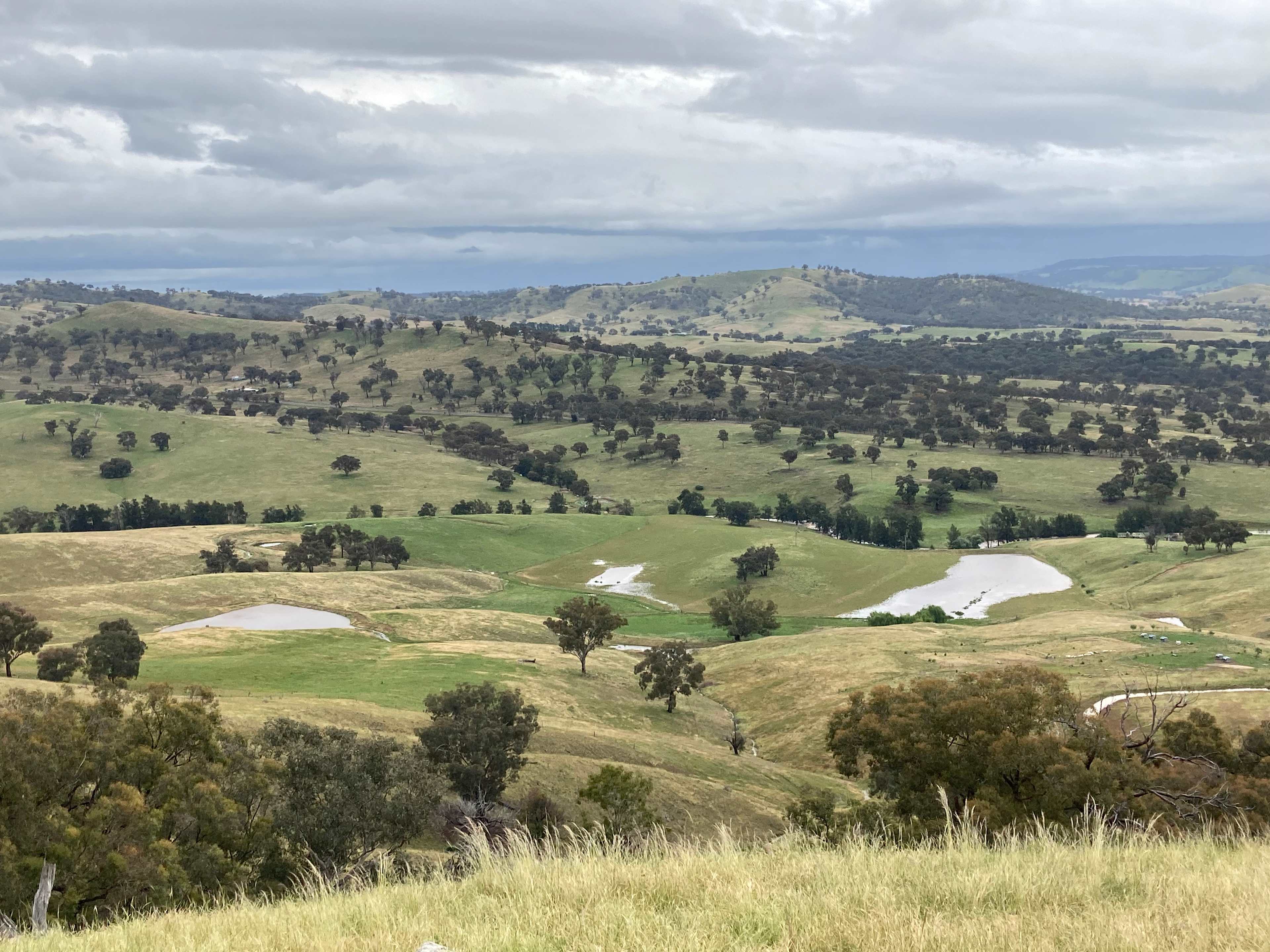 Views to the south