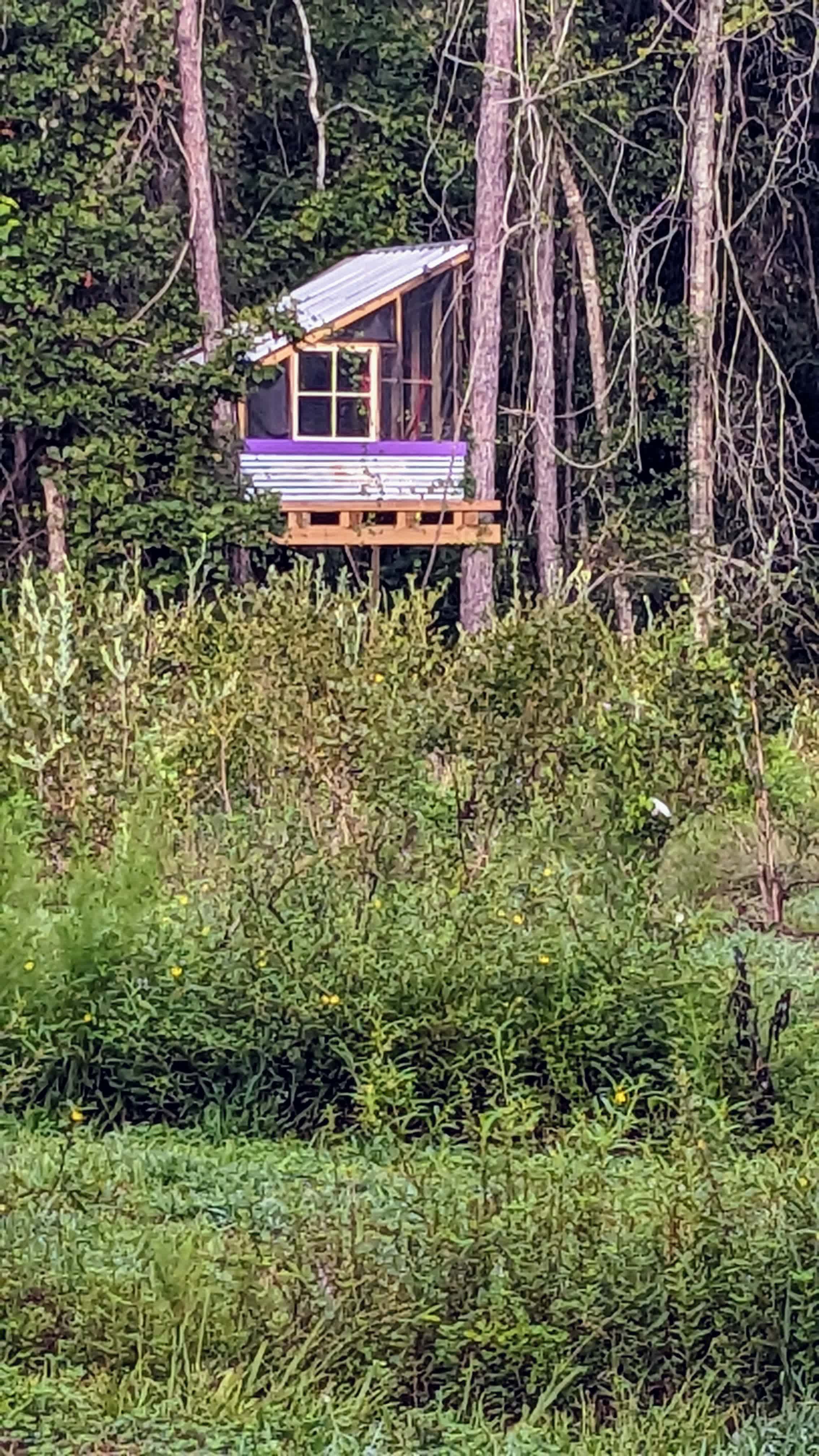 Big Branch Apiary