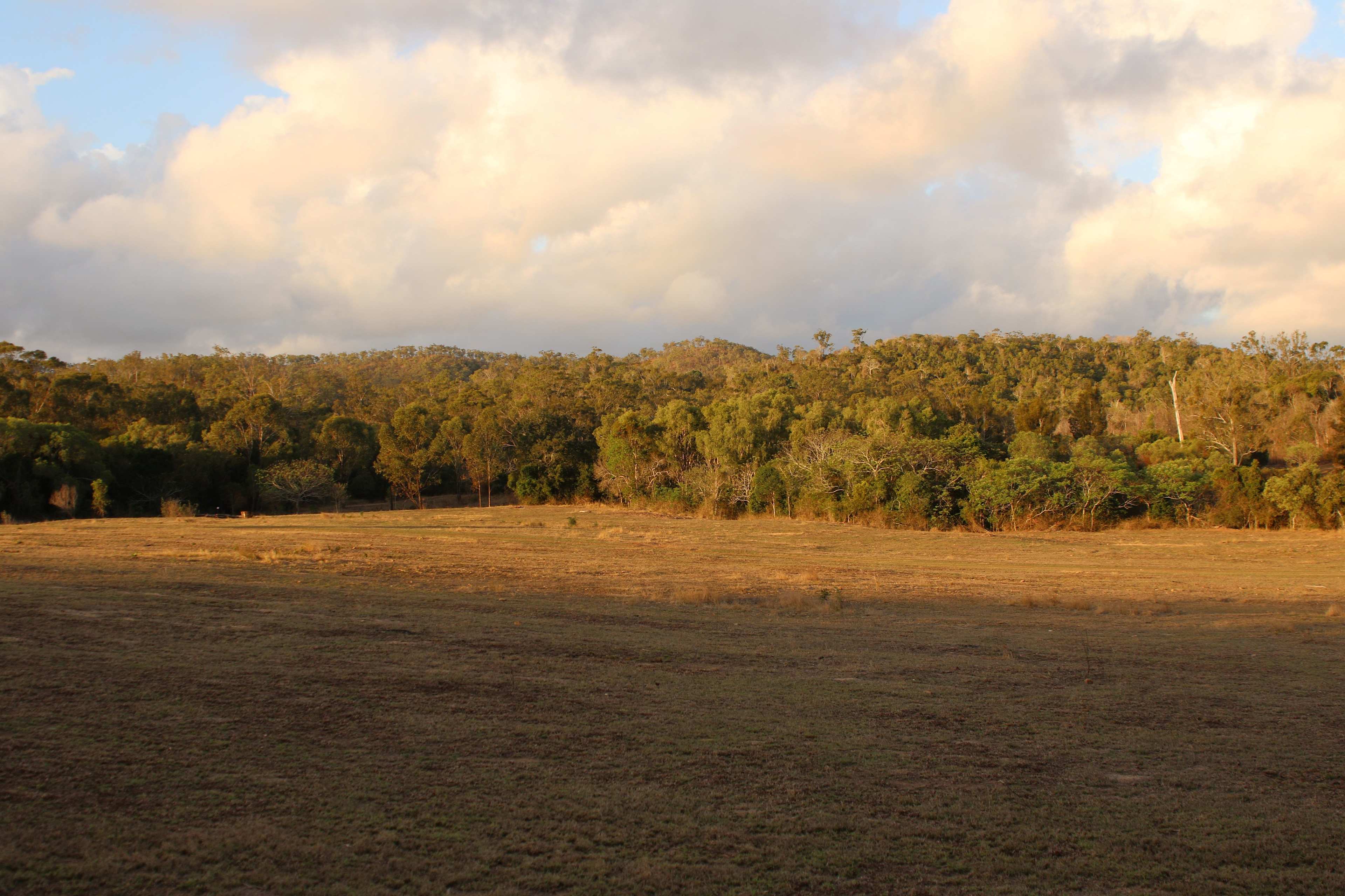 Open Camping Area