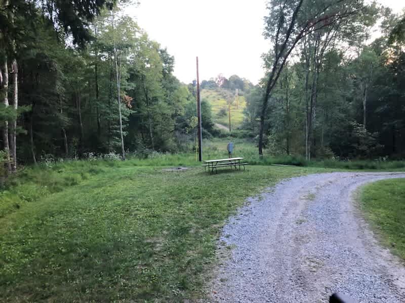 Picture of the site
