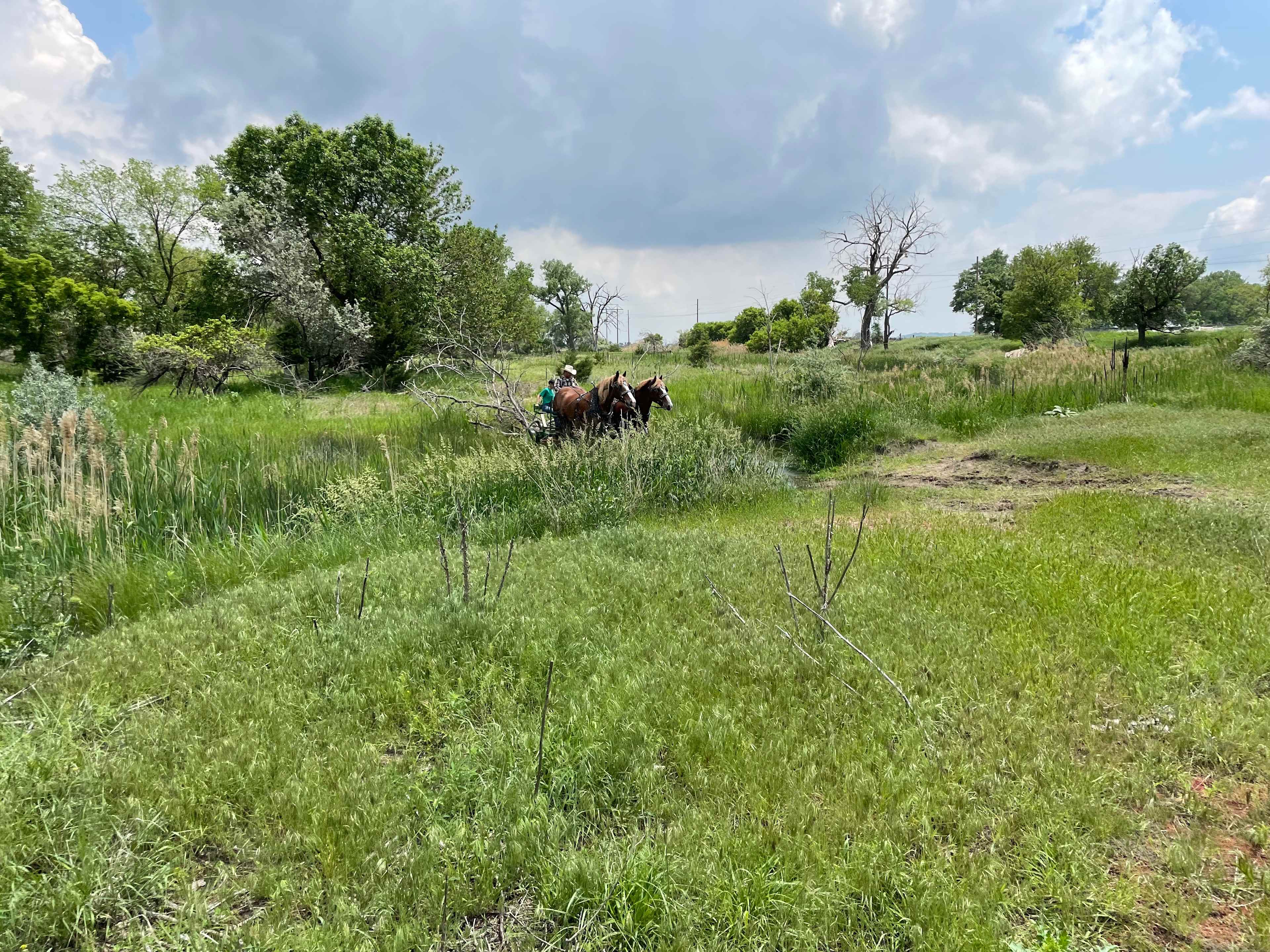 Picture of the site