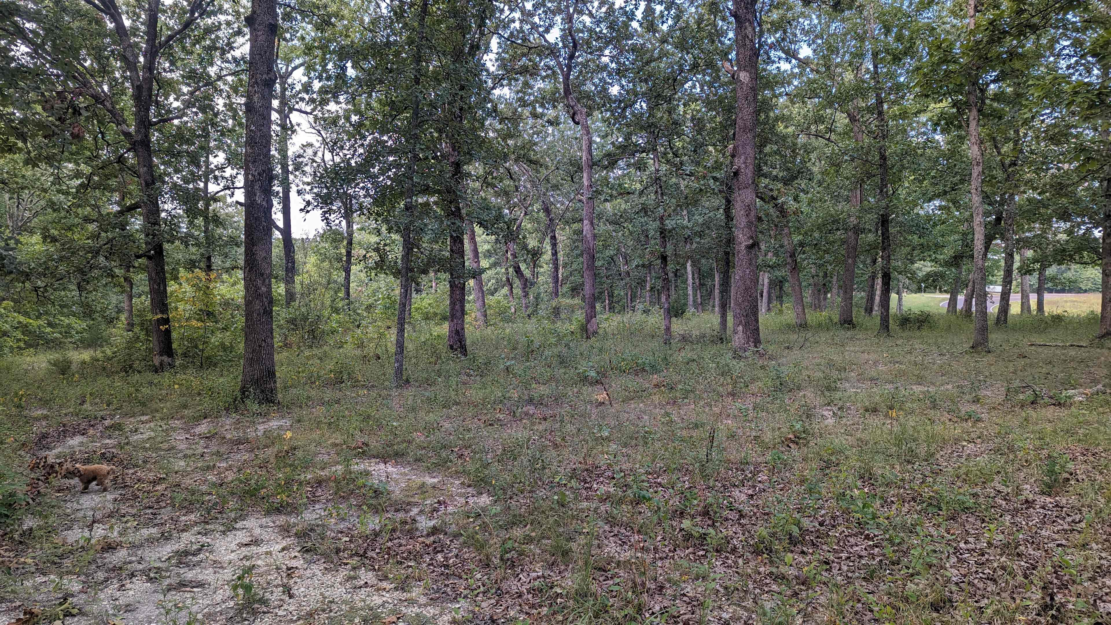 Camping Area 