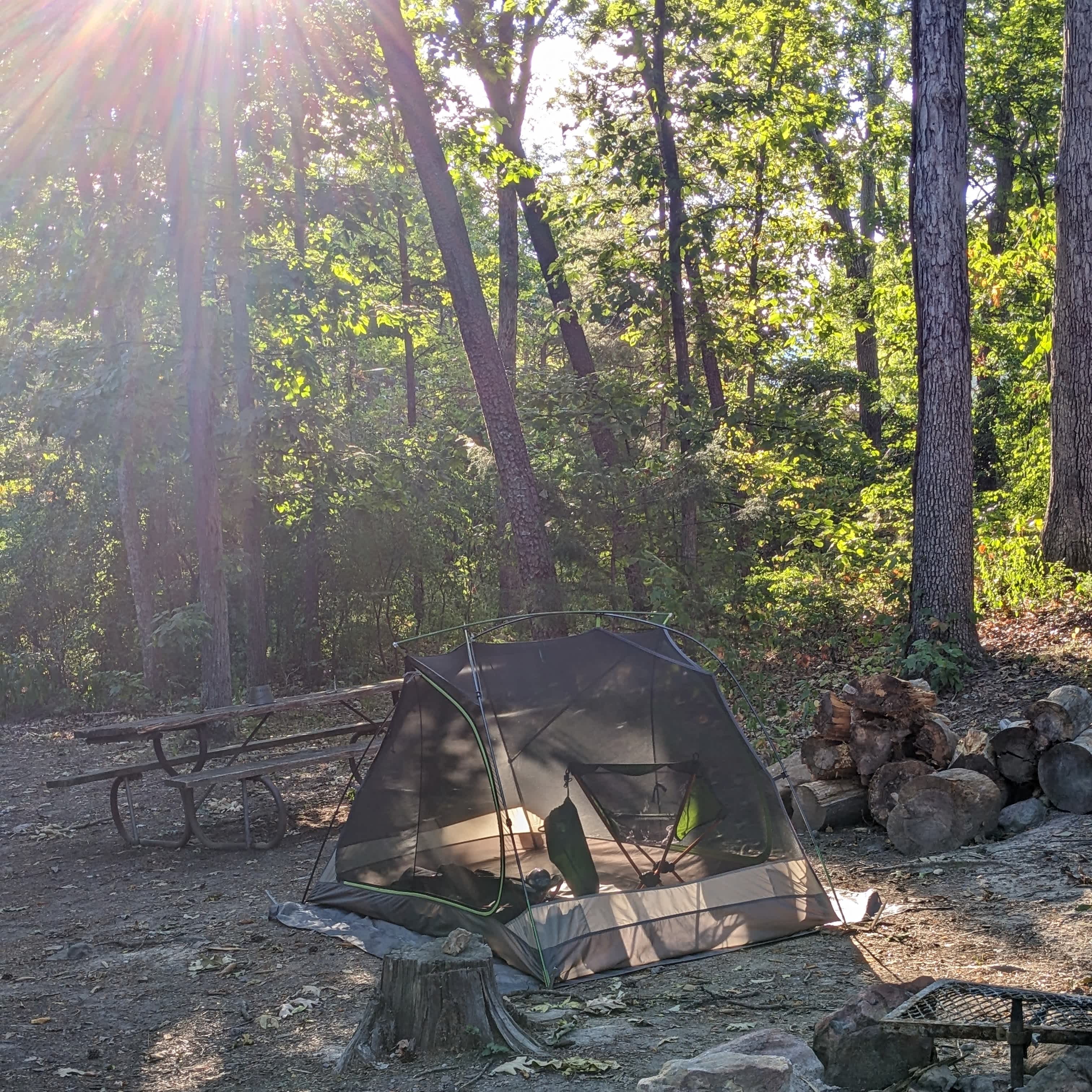 Picture of the site