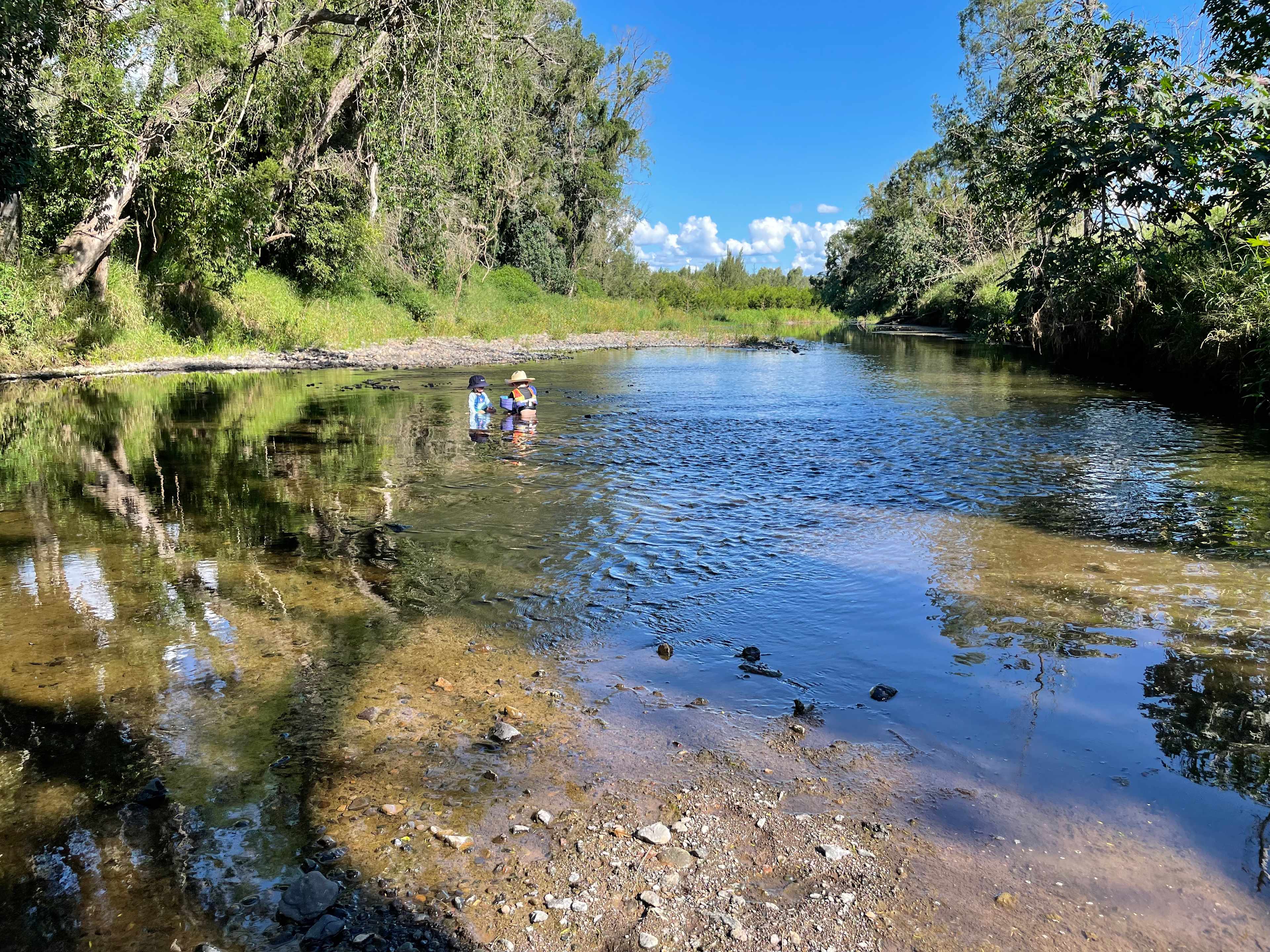 Warrill Creek 