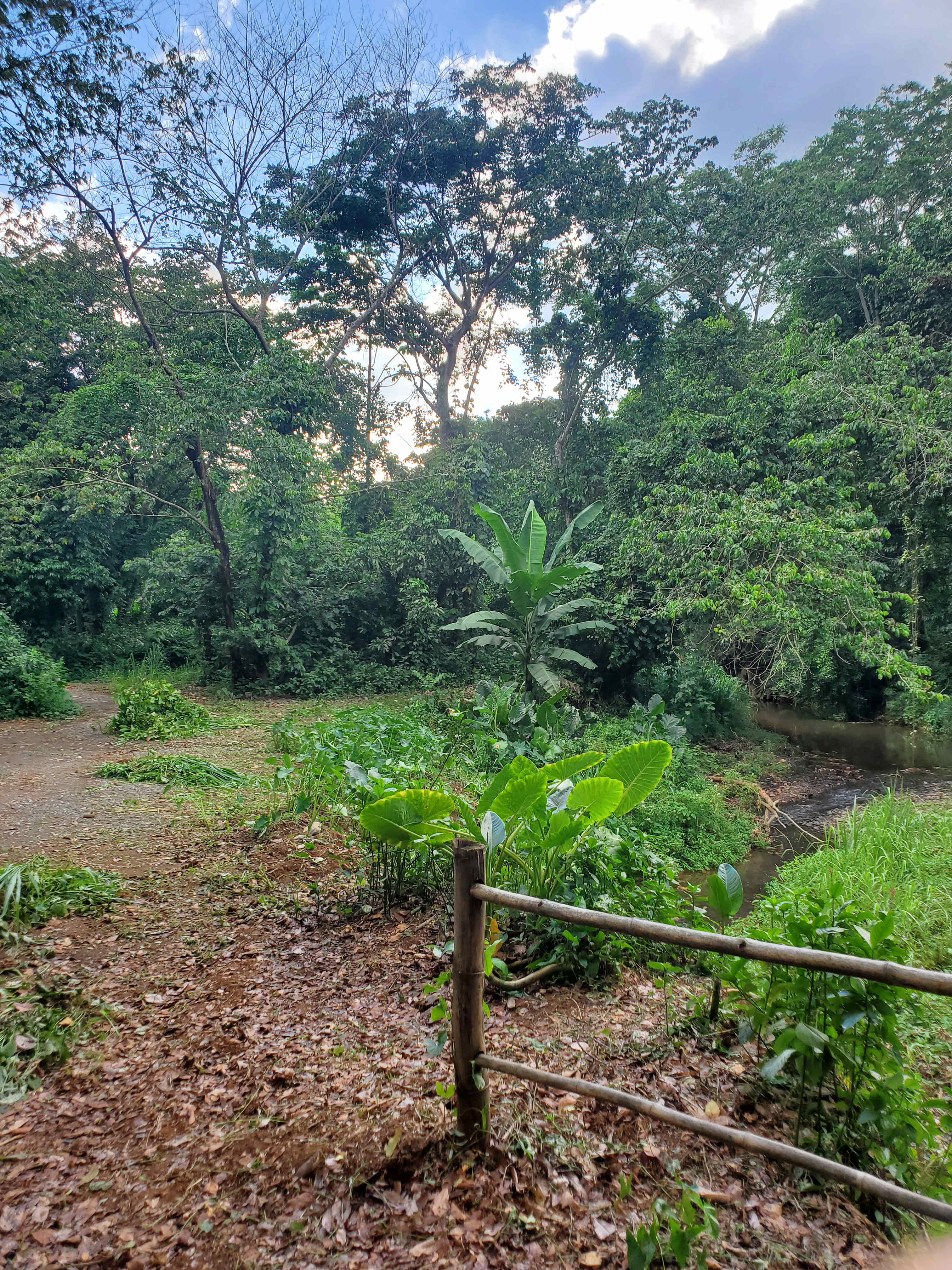 Resecadora Eco-Campground