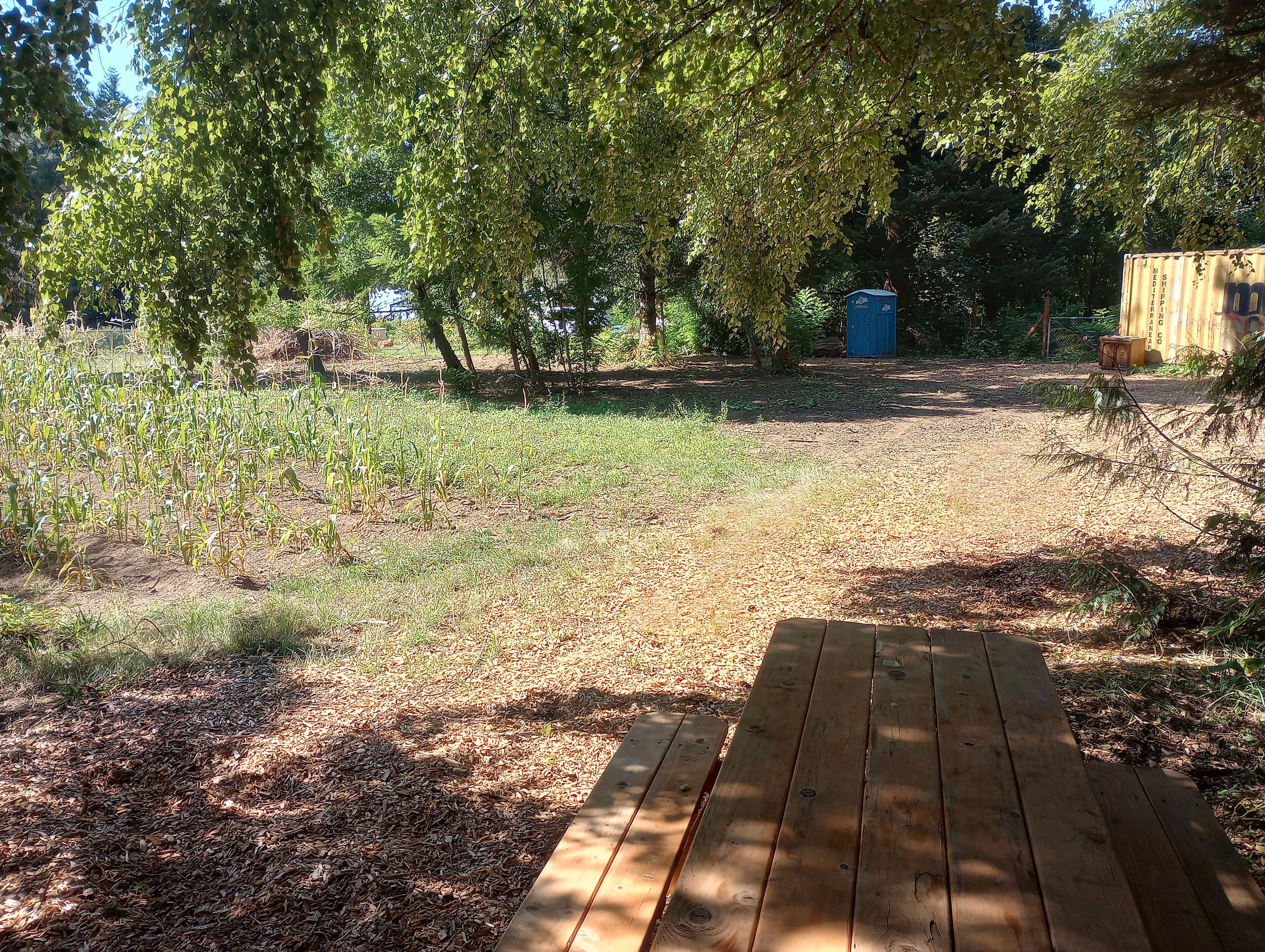 Picture of the site