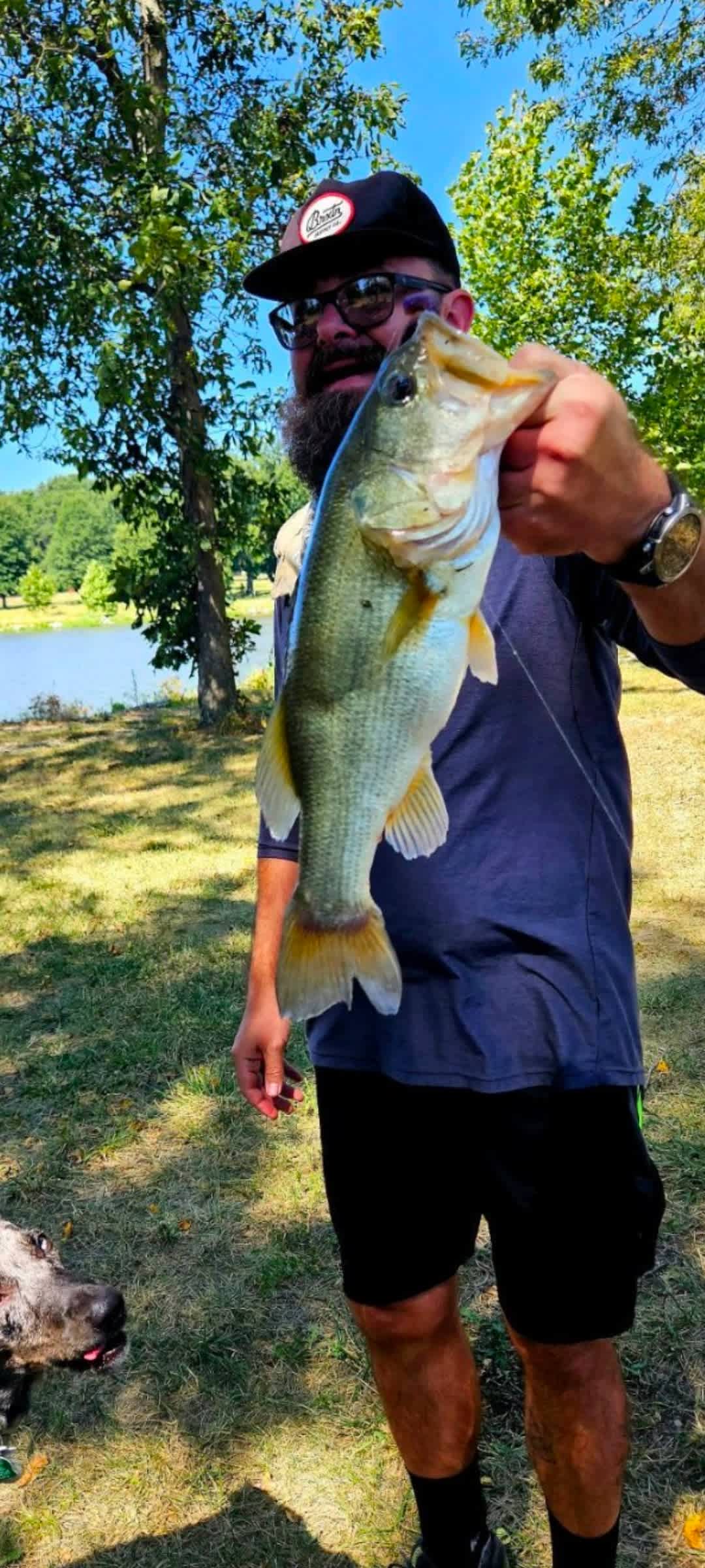 Big fish in this laje