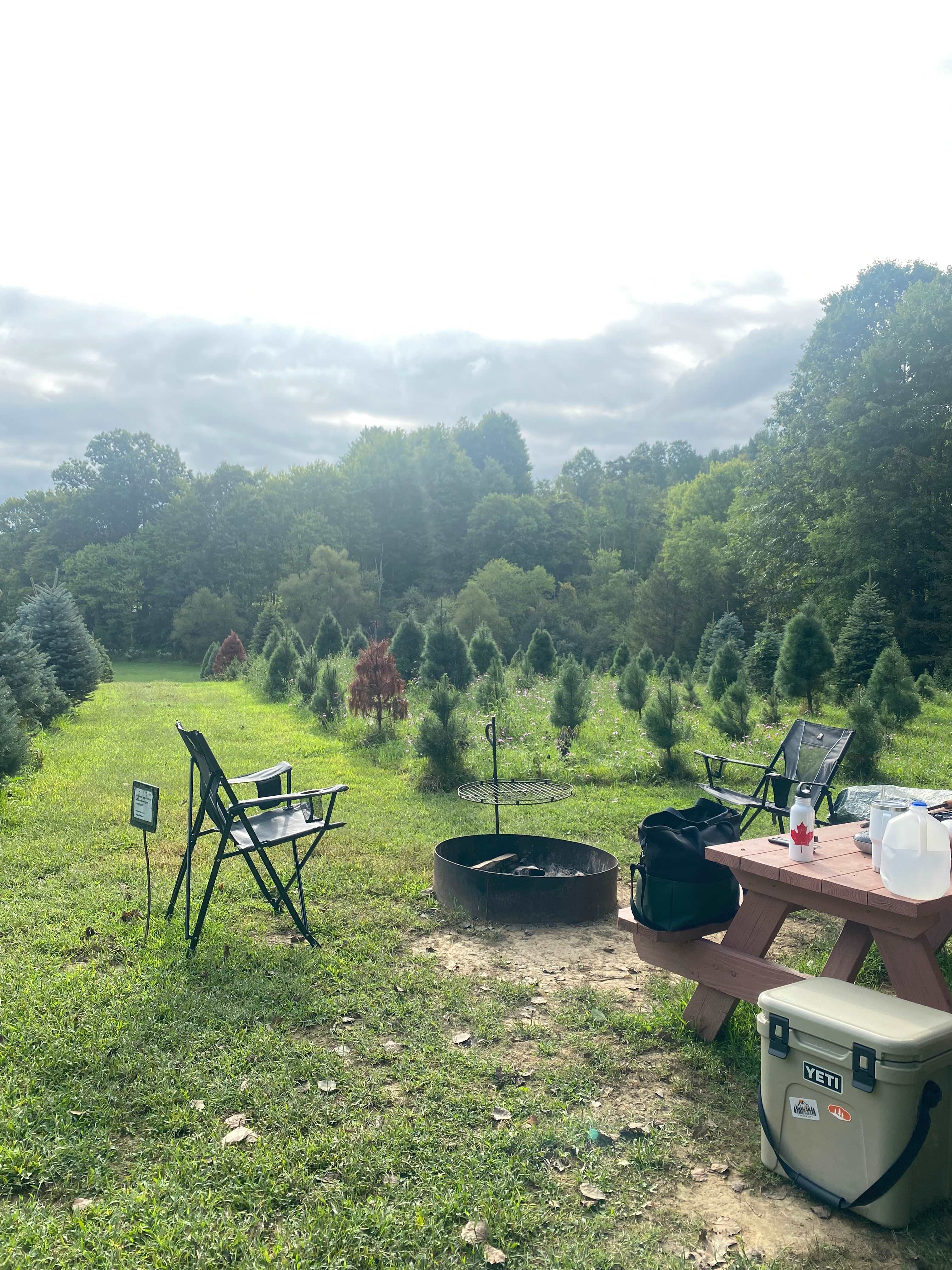 Picture of the site