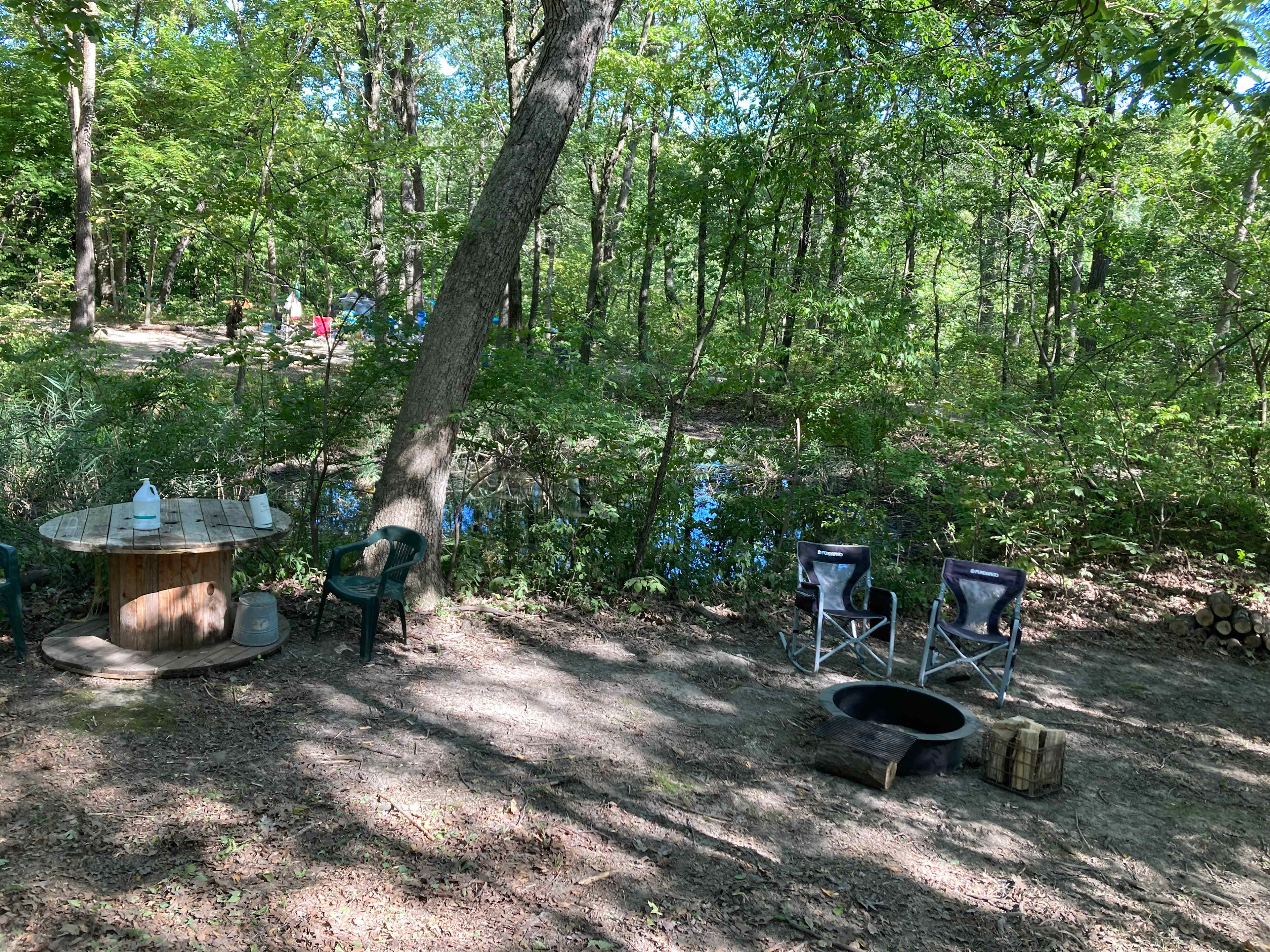 Picture of the site