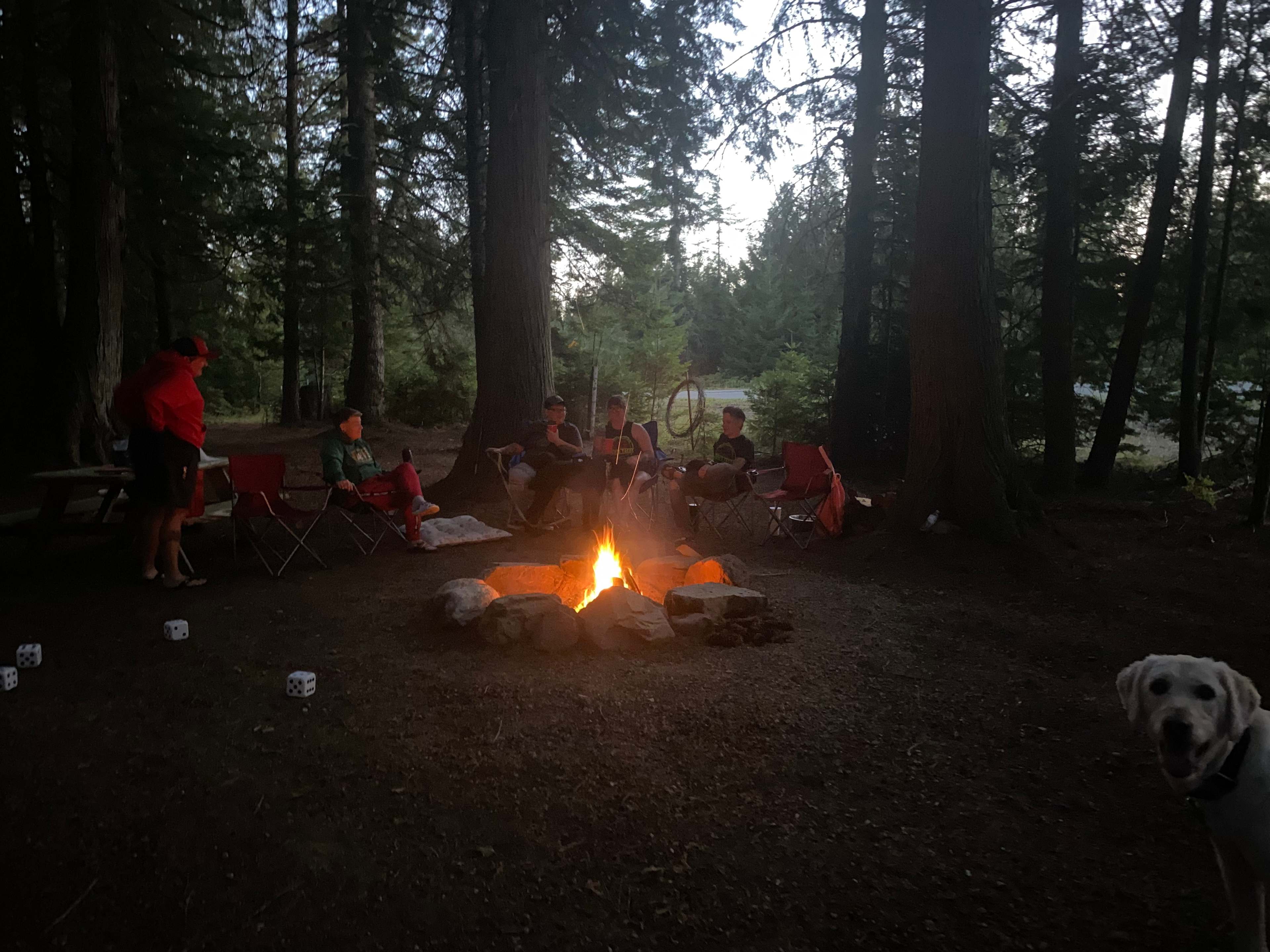 Under the Cedars