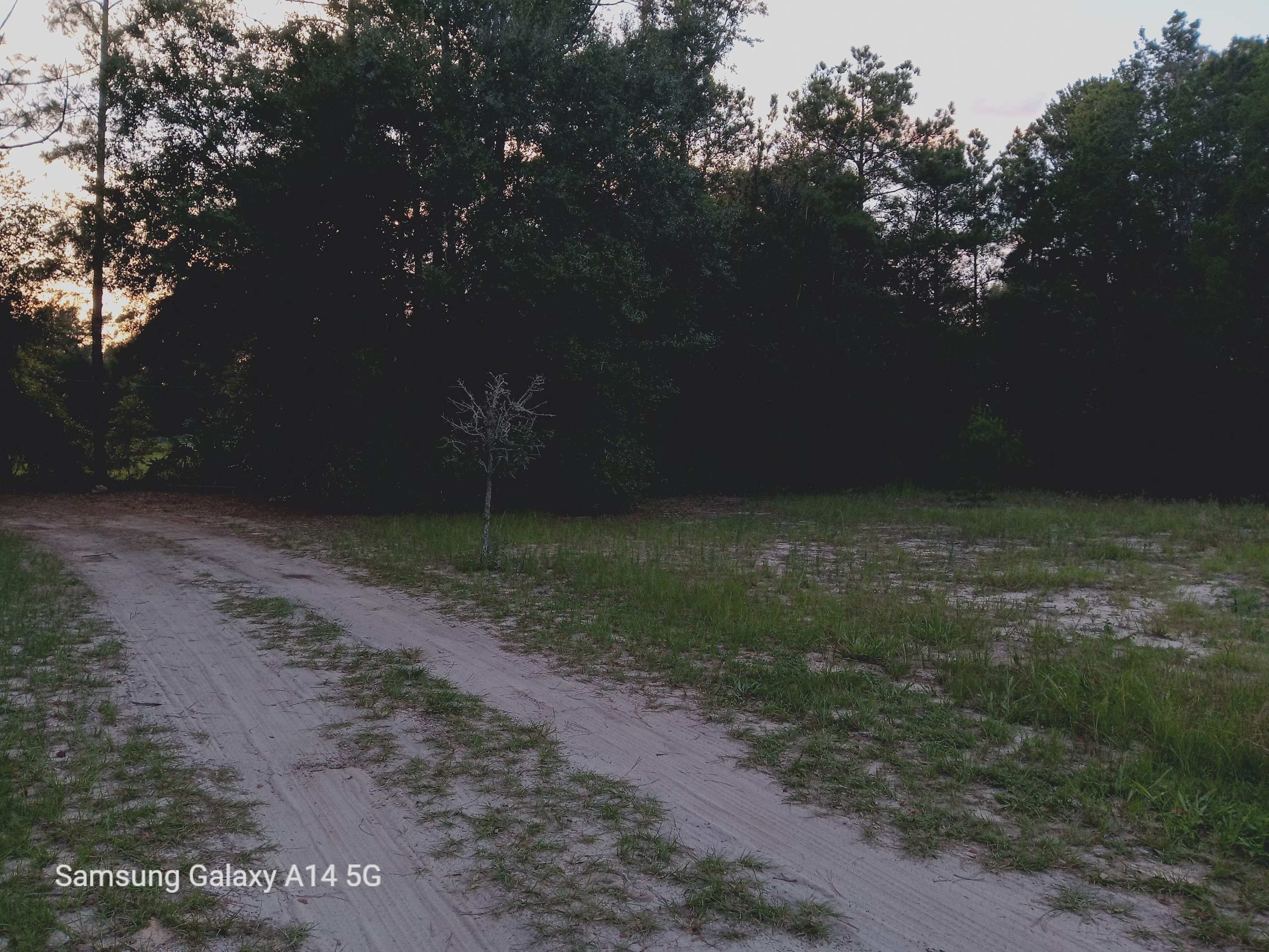 Land Near Kelly Park/Rock Springs