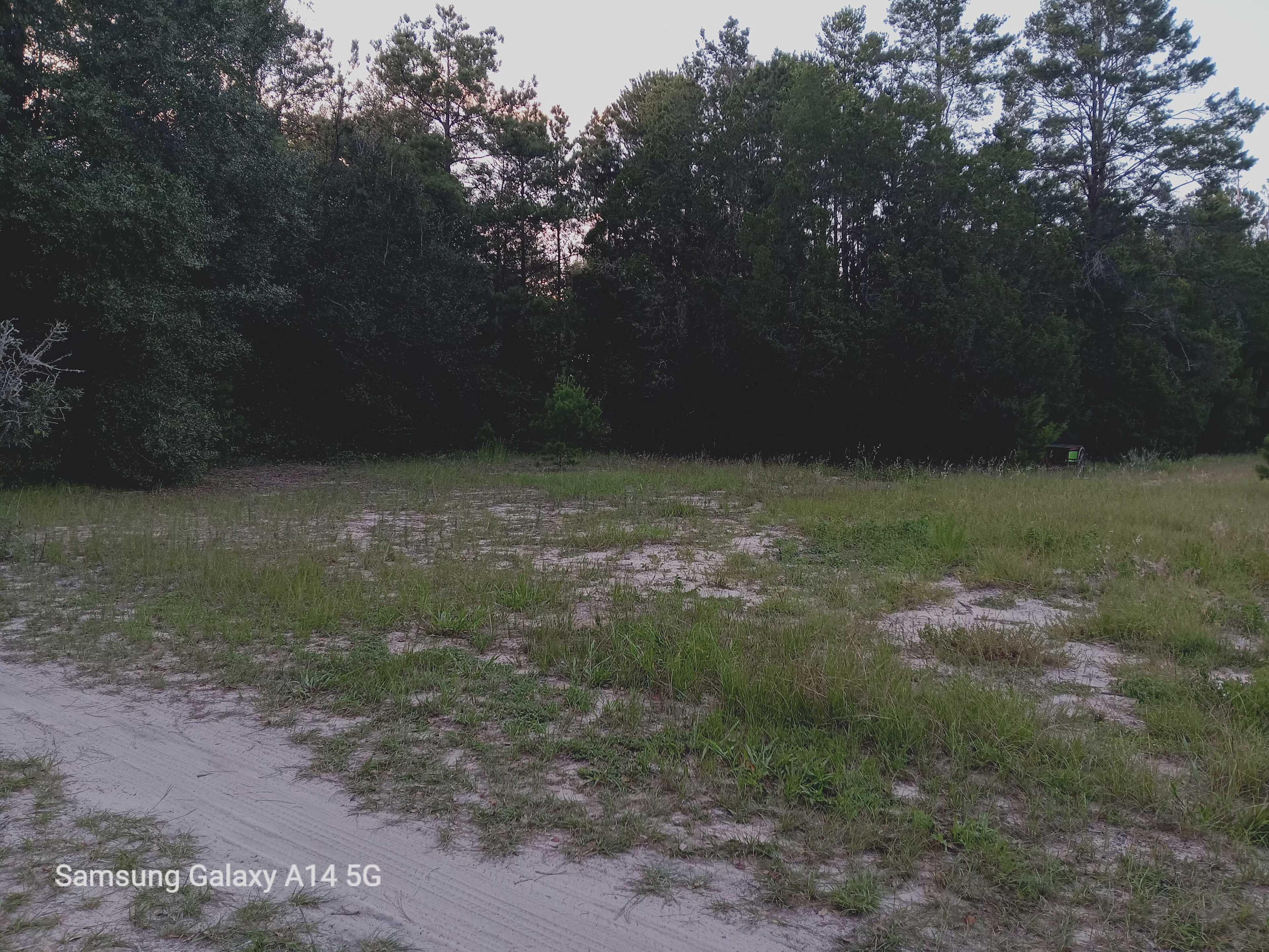 Land Near Kelly Park/Rock Springs