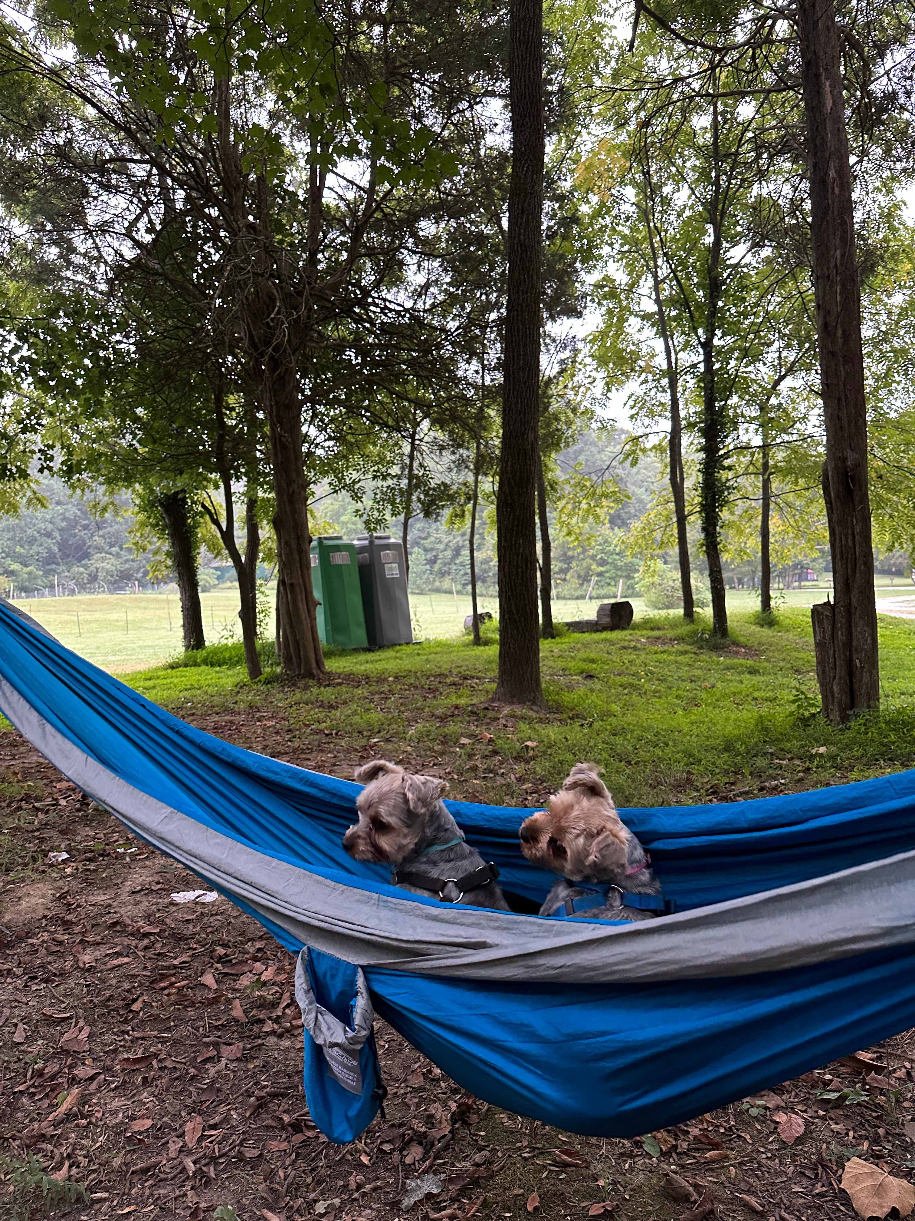 Blue River Retreat