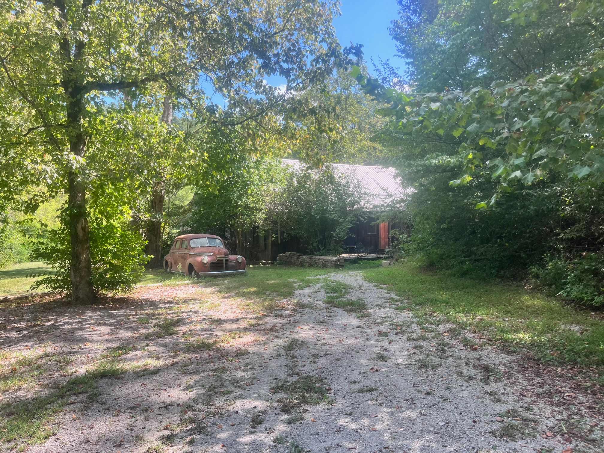Dead / Phish Pharm Camp