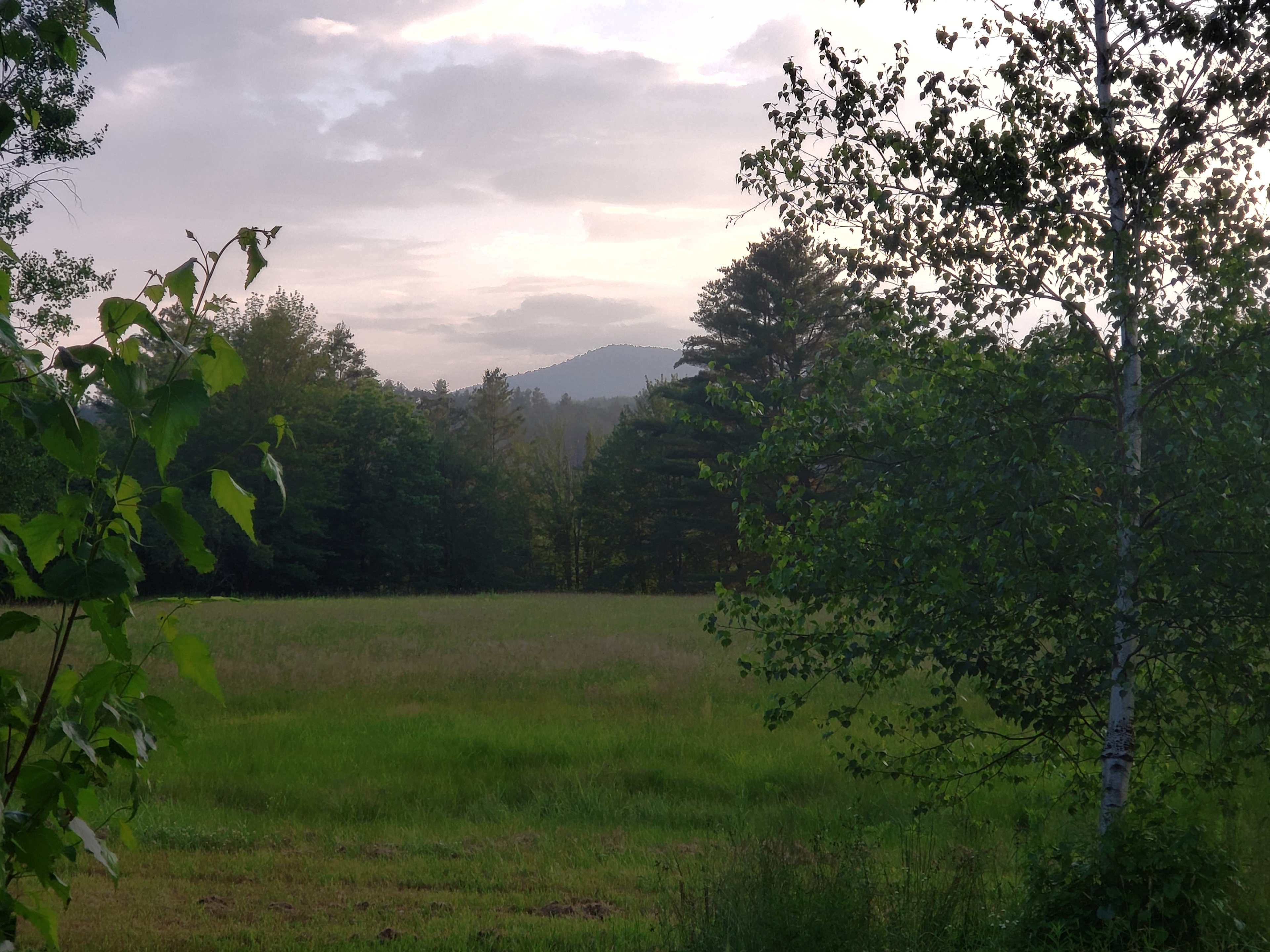 Rustber Farm