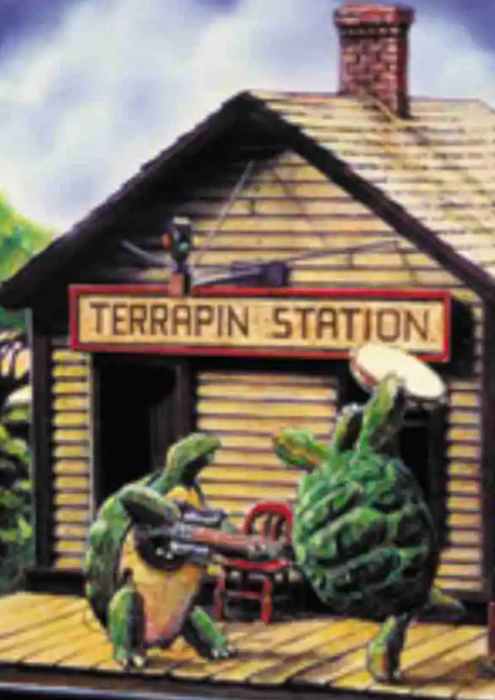 Dead / Phish Pharm Camp