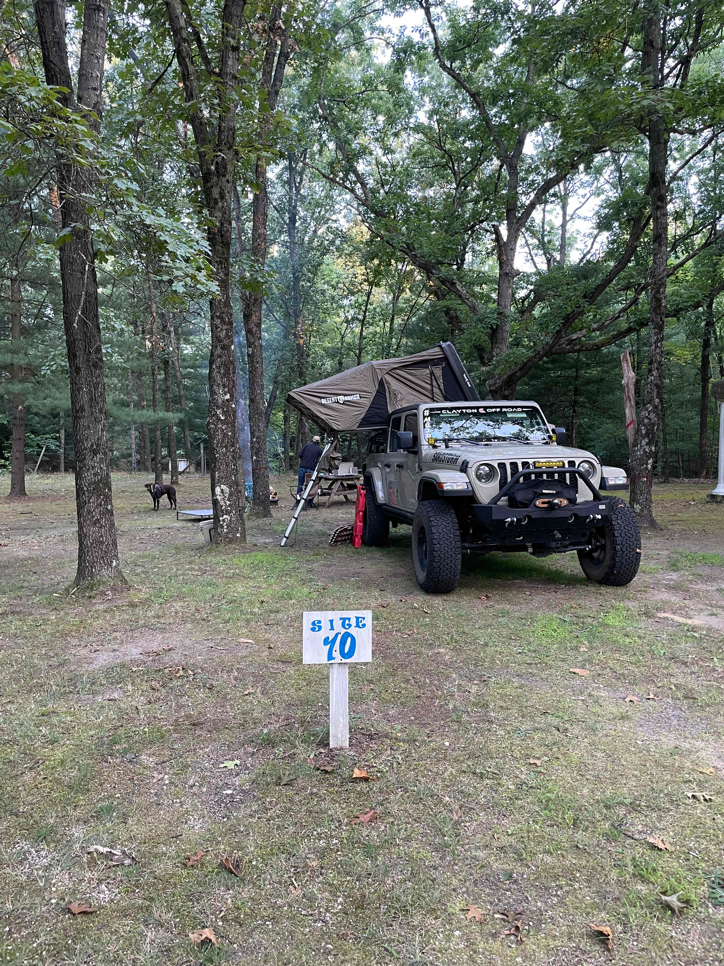 Picture of the site