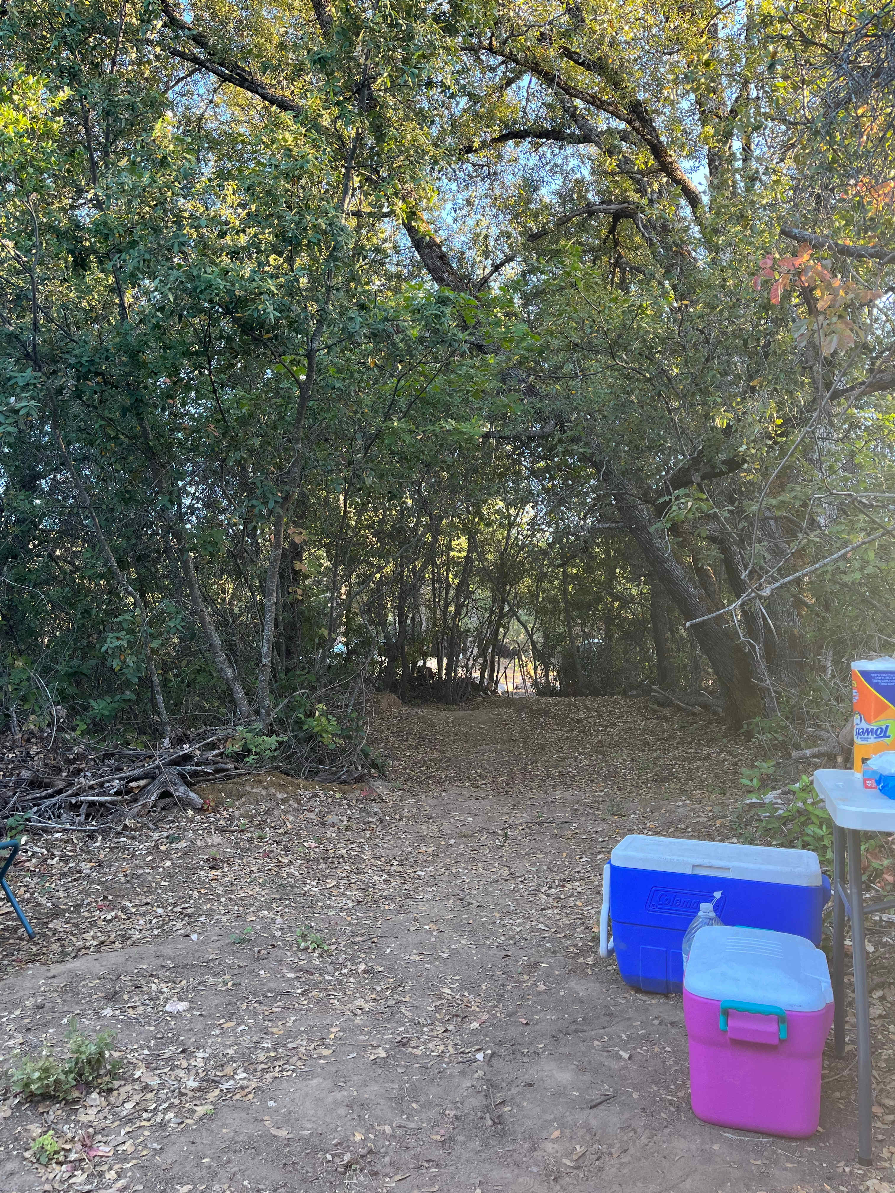 Picture of the site