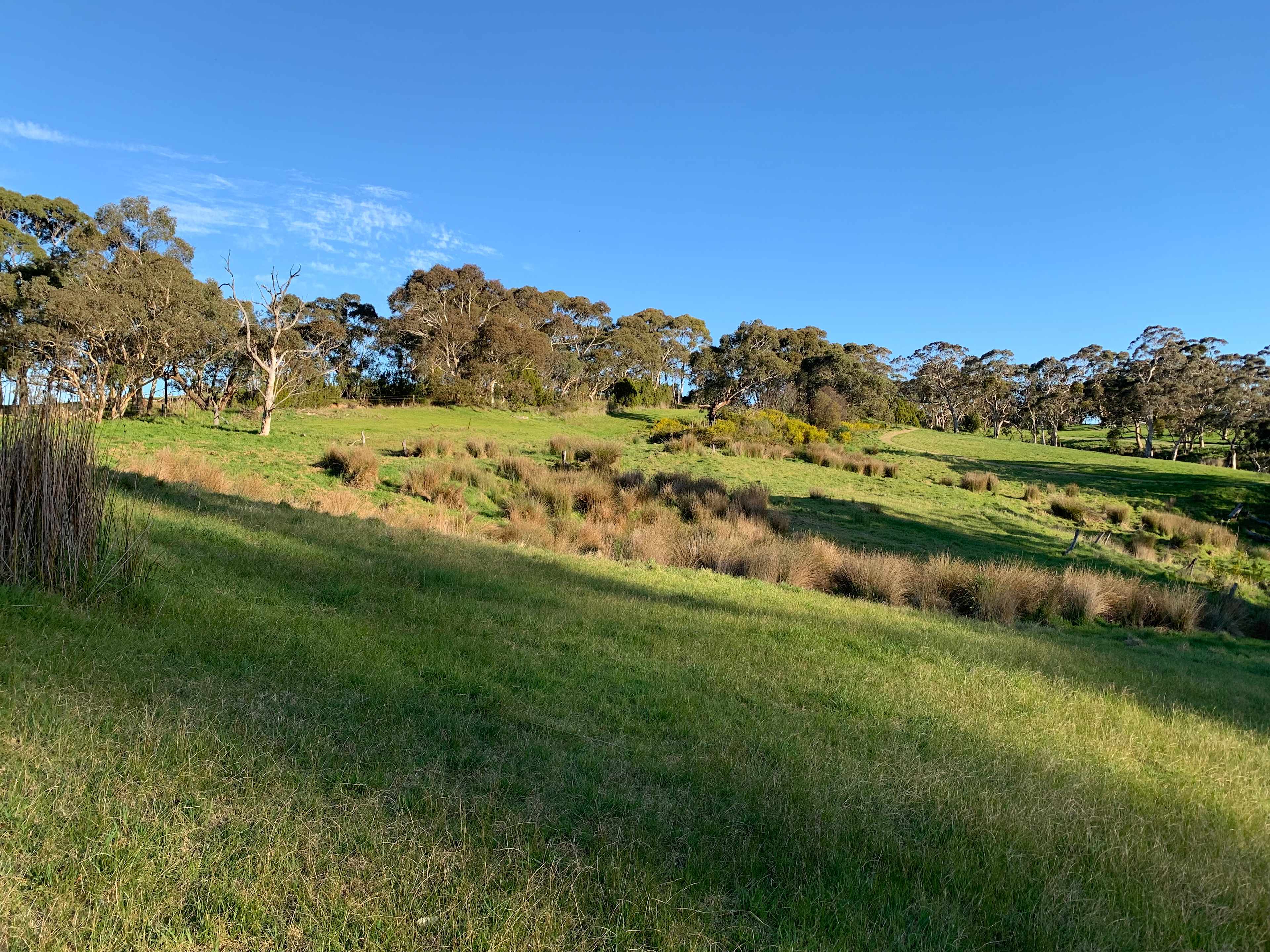 Rocky Dale Farm