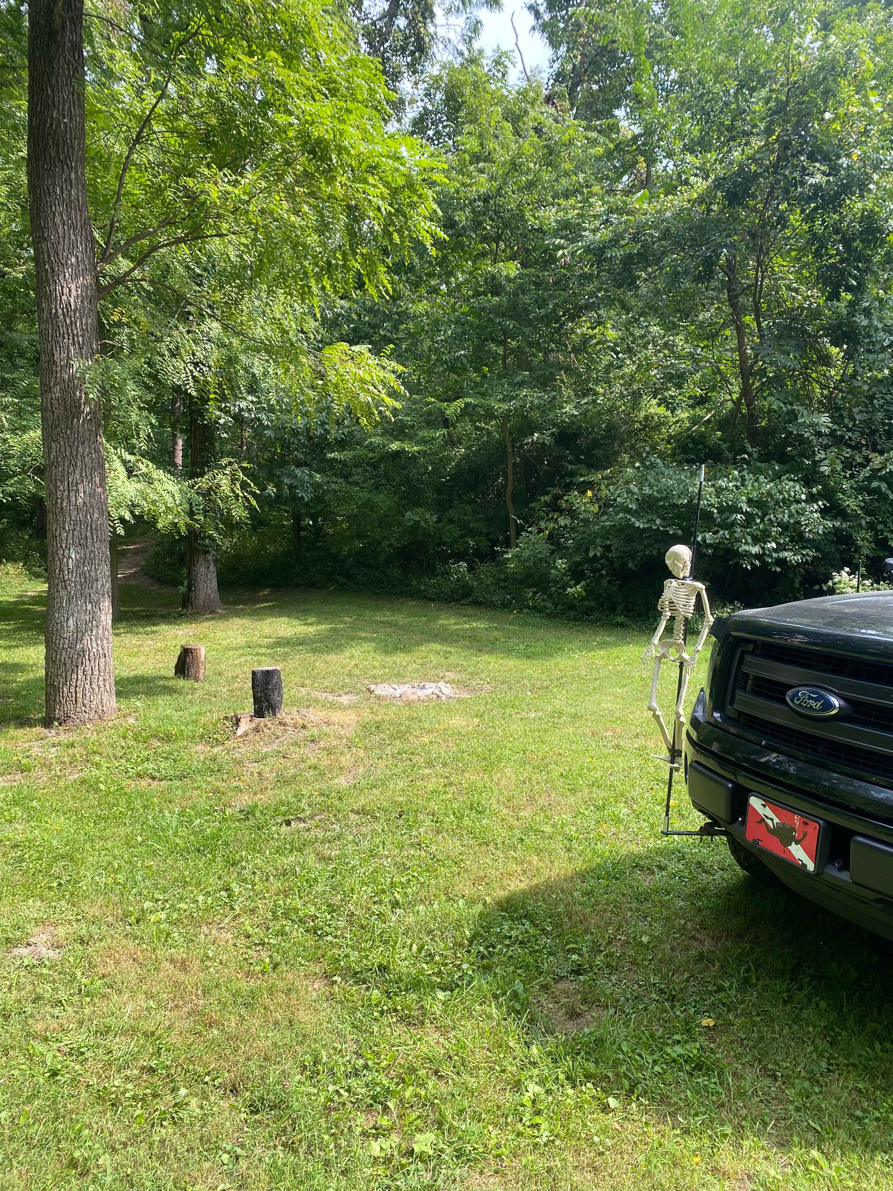 Picture of the site