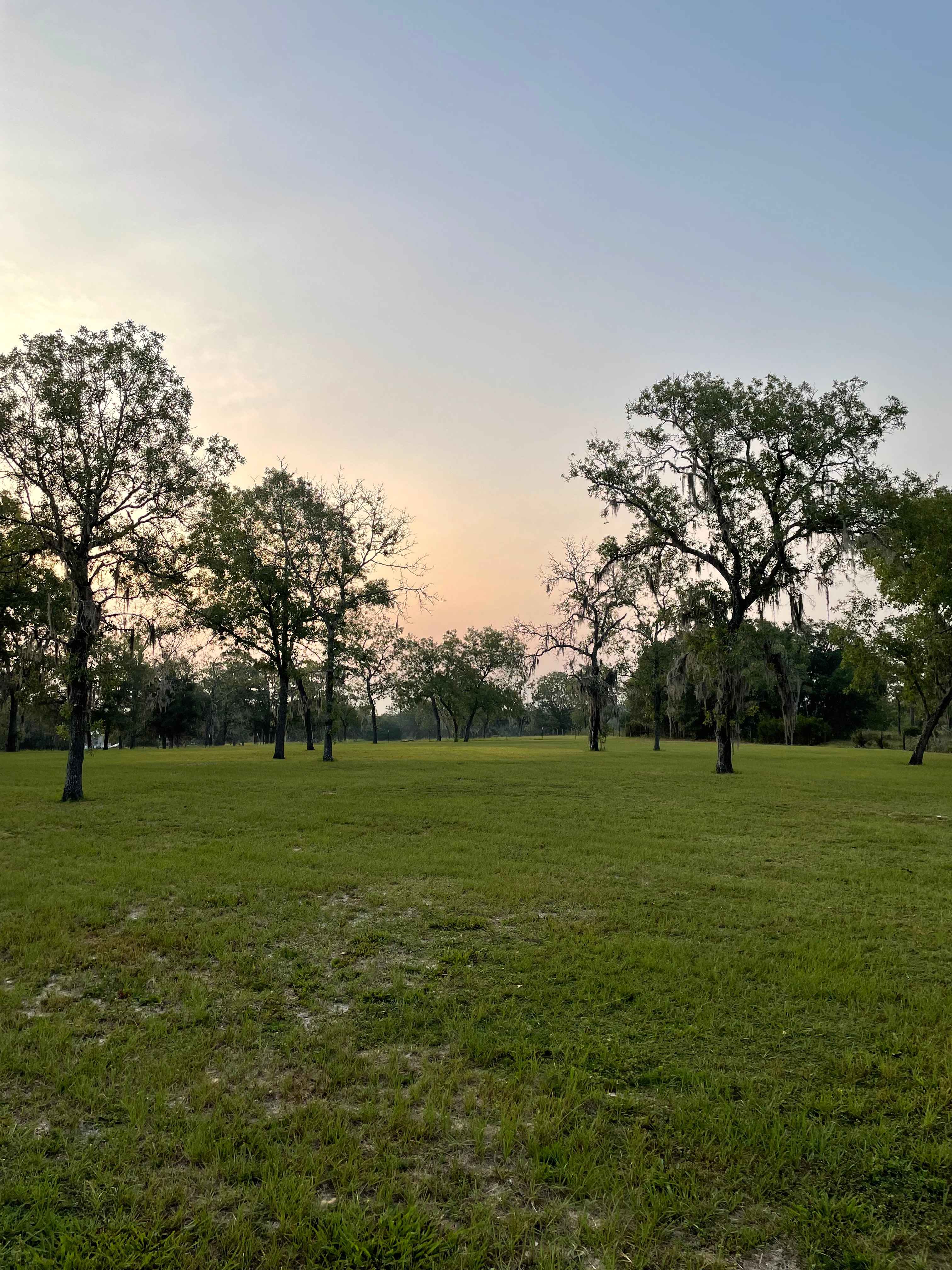 Wildflower Ranch