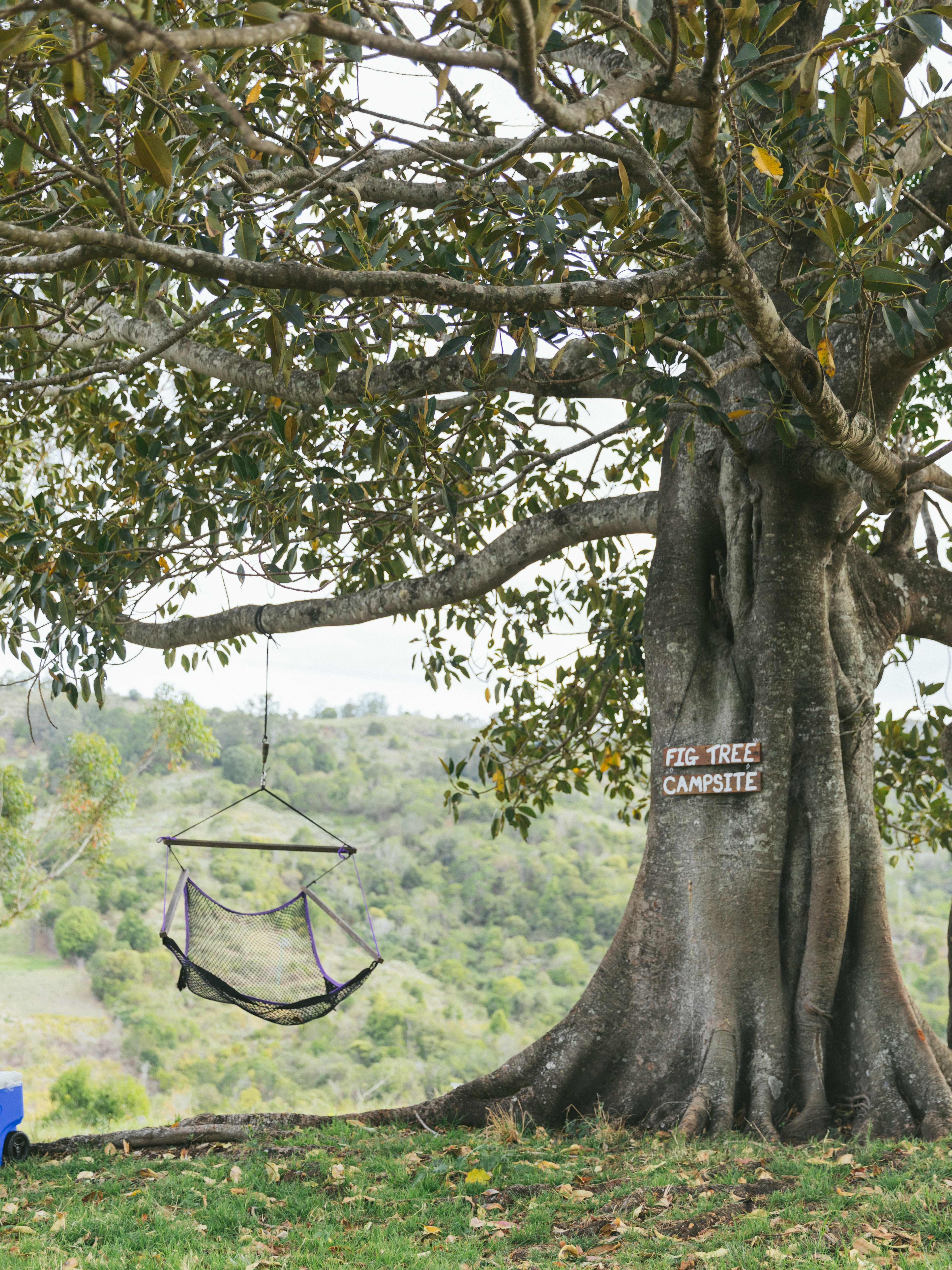 Oakey Ridge