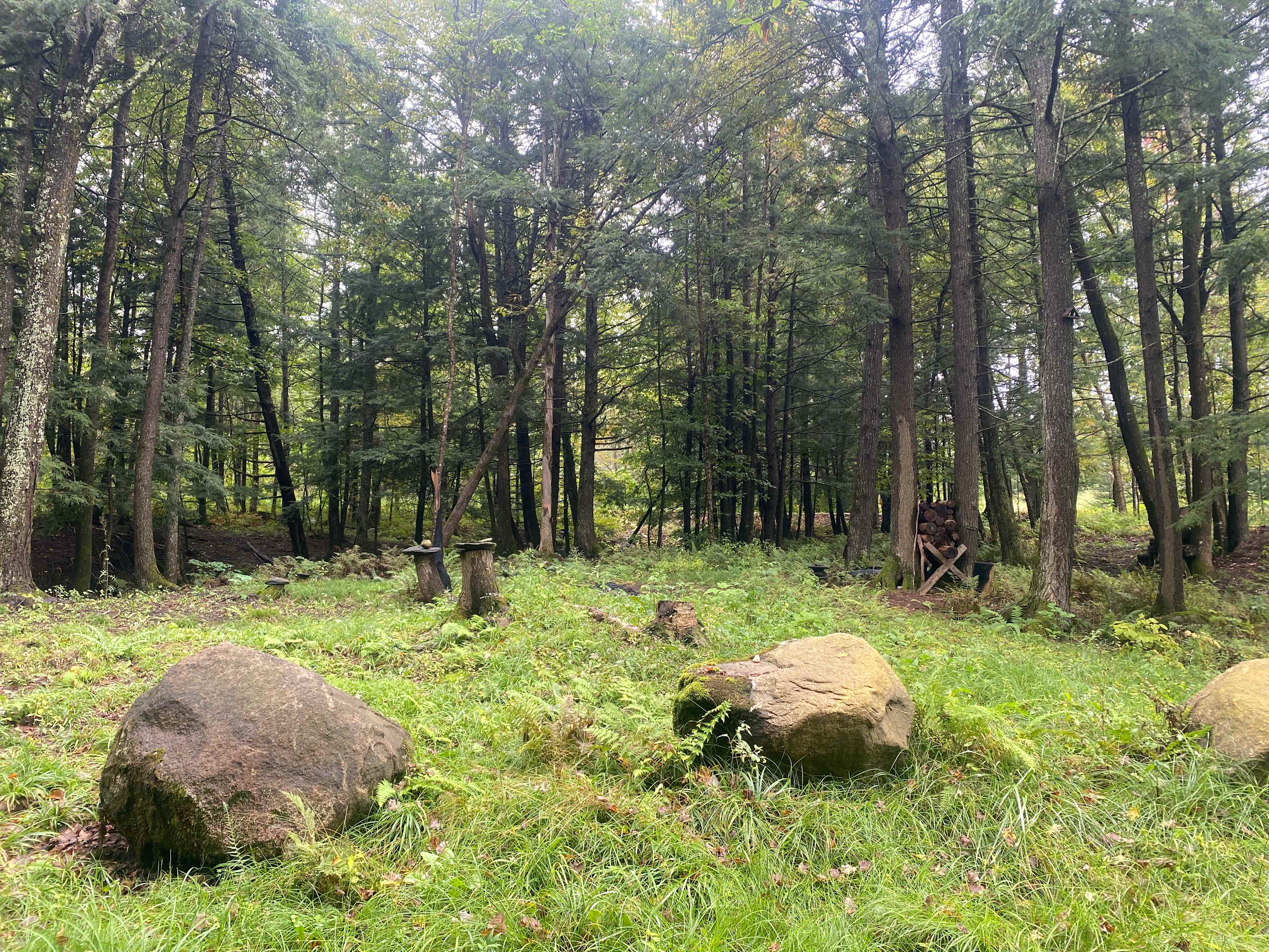 Flat and open spots are easy to find 