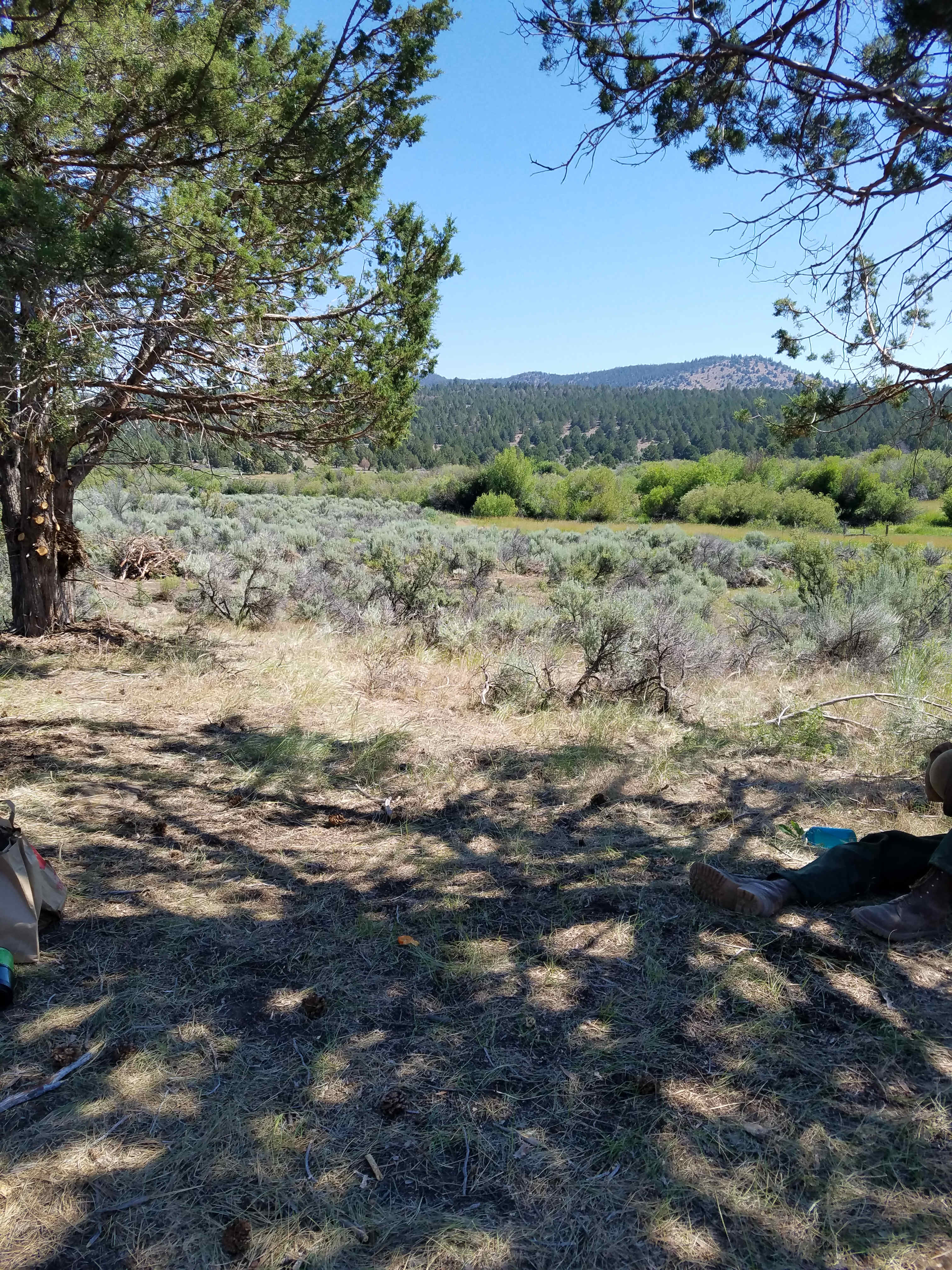 River Picnic