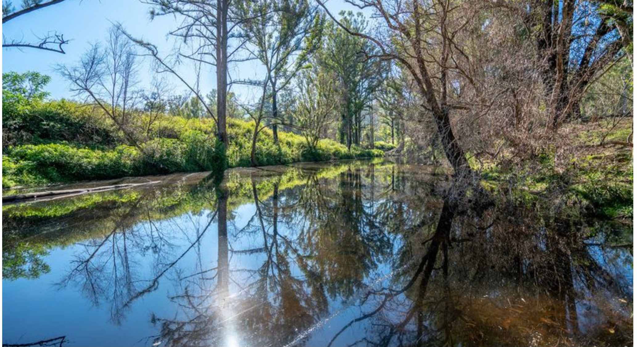 Wombat Hollow