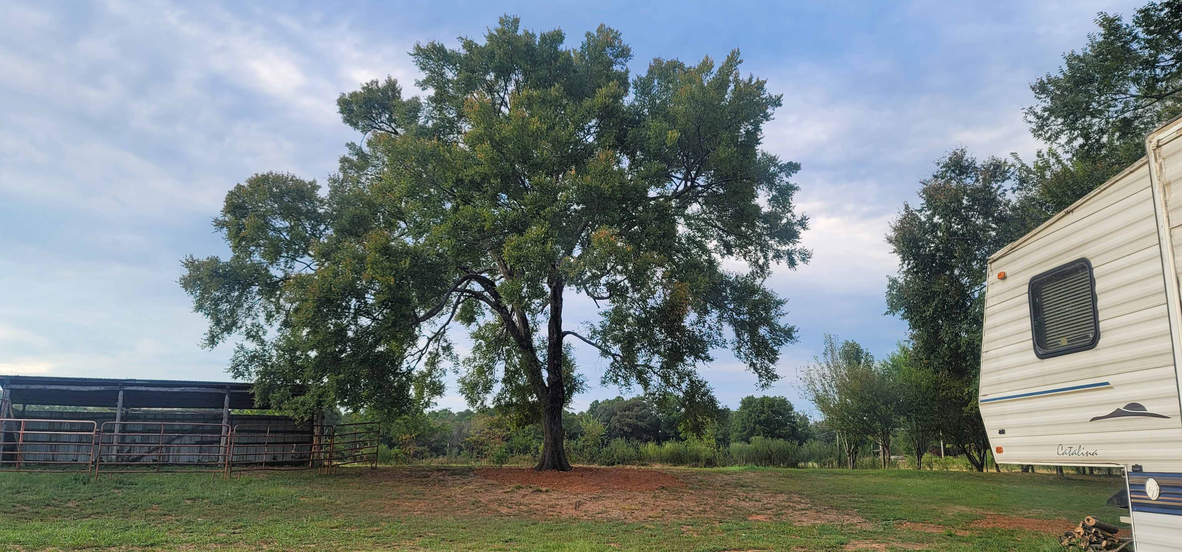 Cedar Creek Trails RV Park