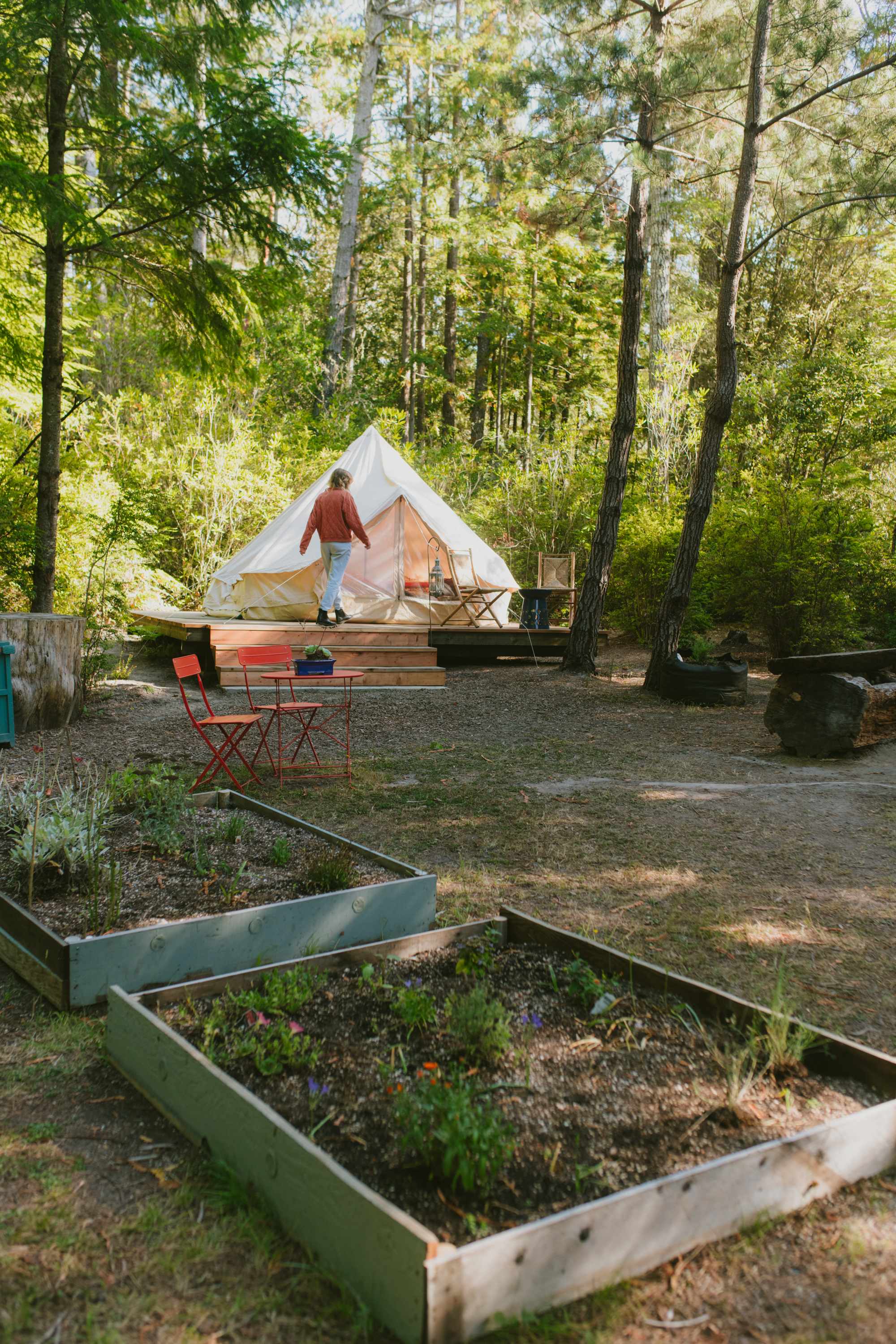 Picture of the site
