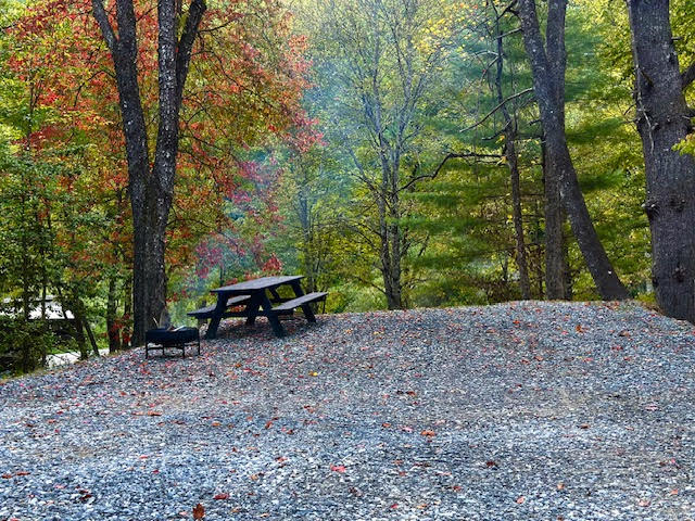 Picture of the site
