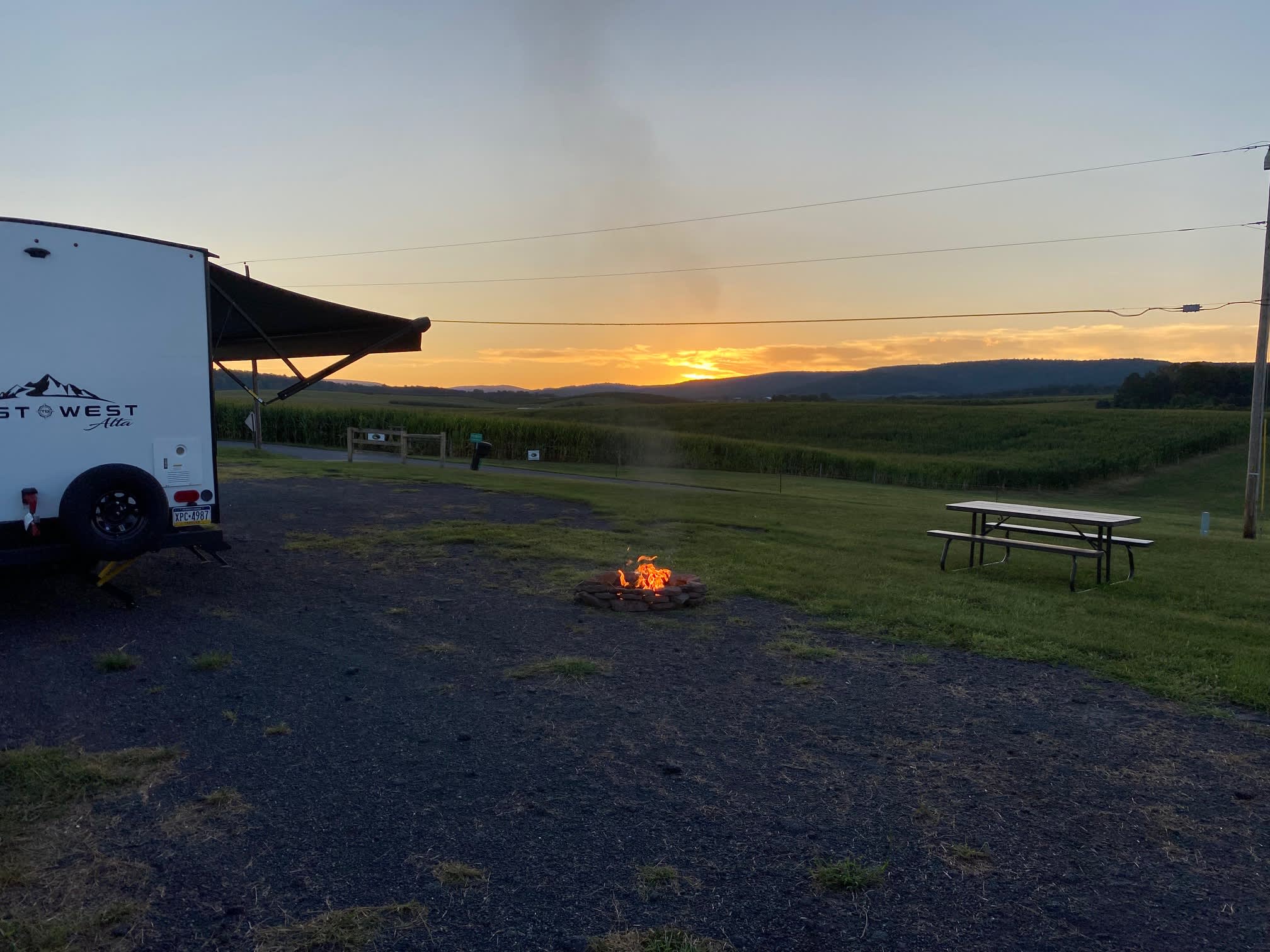 Cozy Cow Campsite