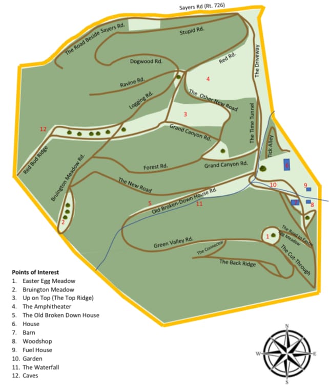 Picture of the site