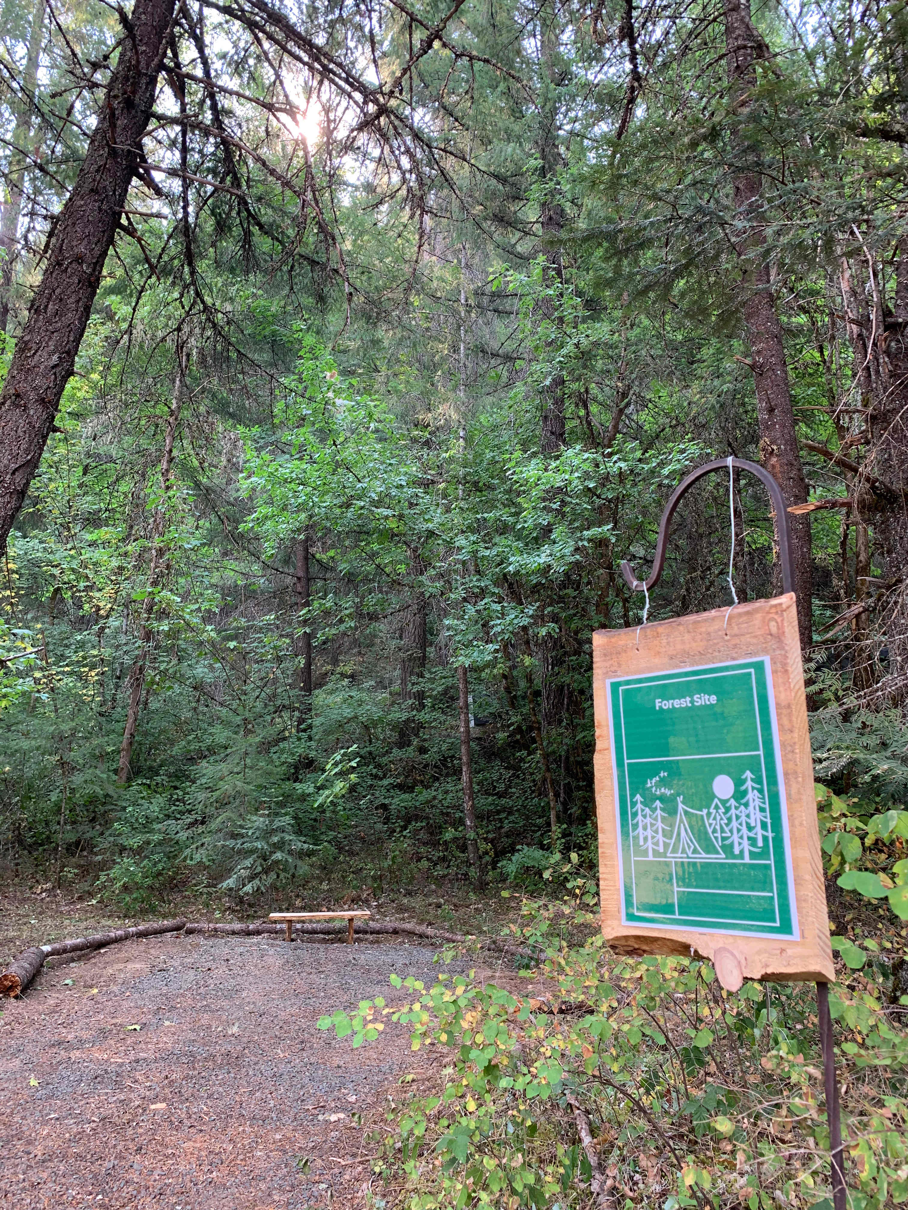 Picture of the site