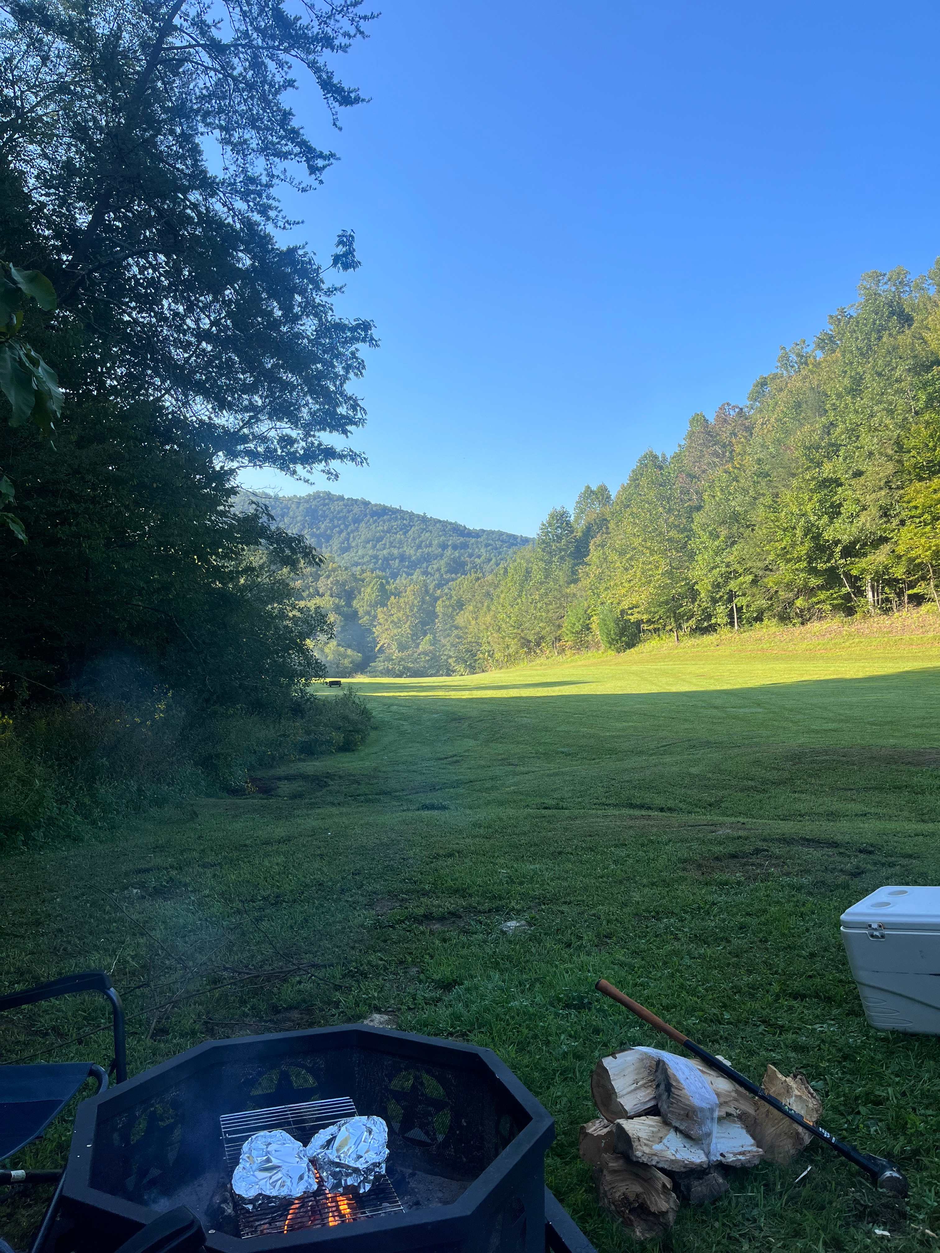 Picture of the site
