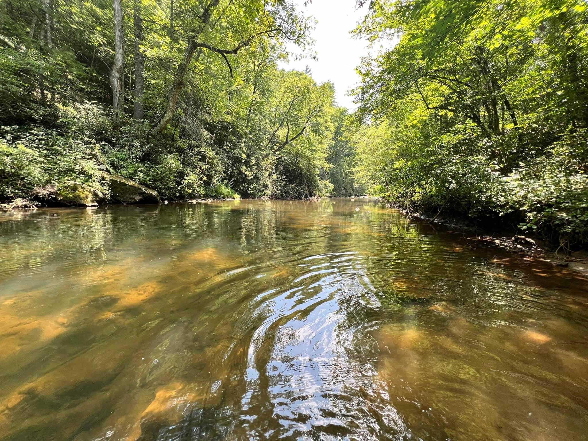 The River