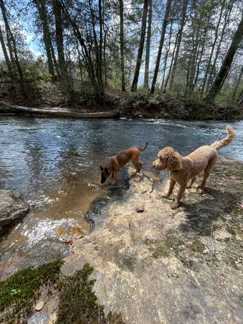 The River