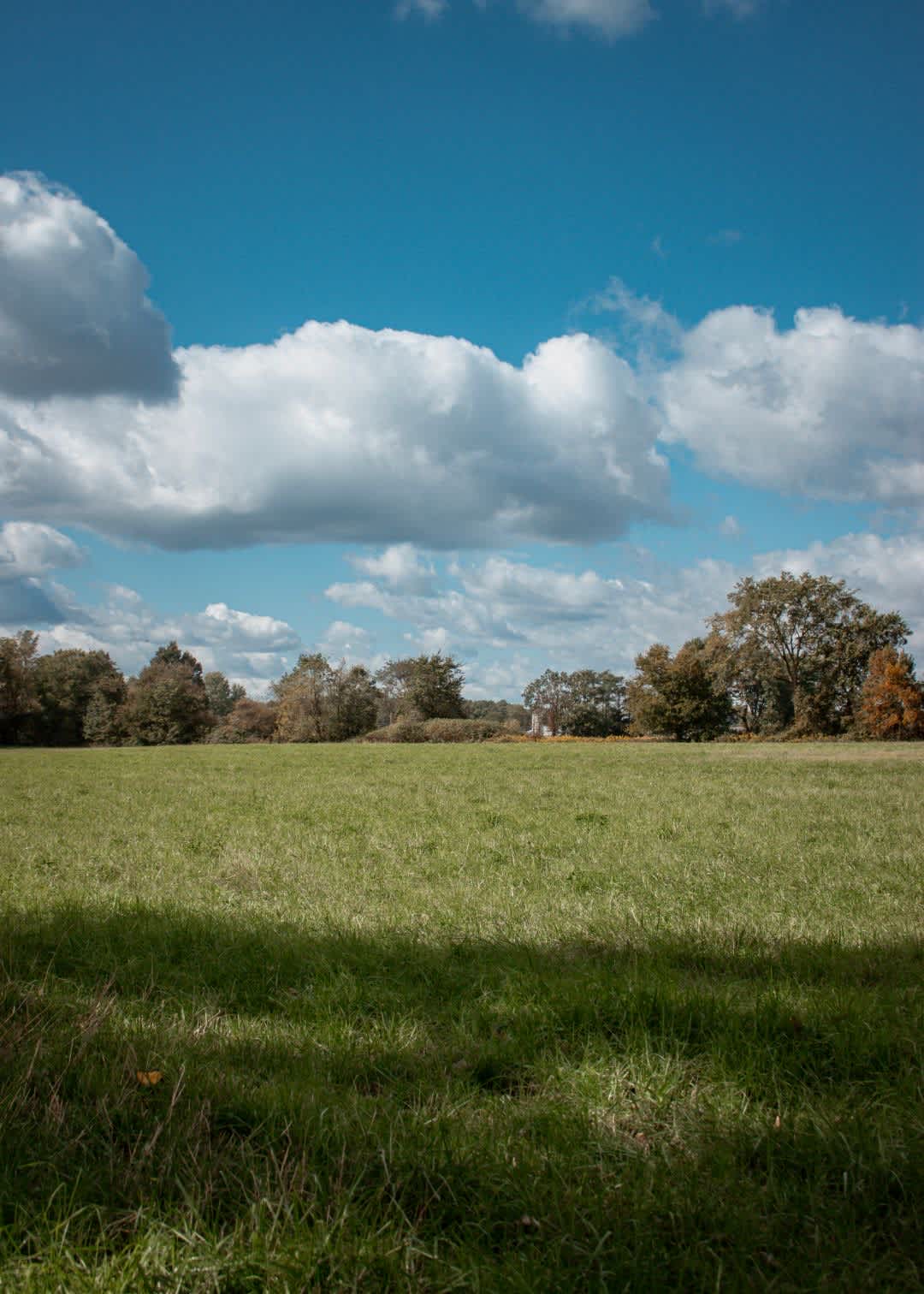 Piper’s Perch Open Field Camp
