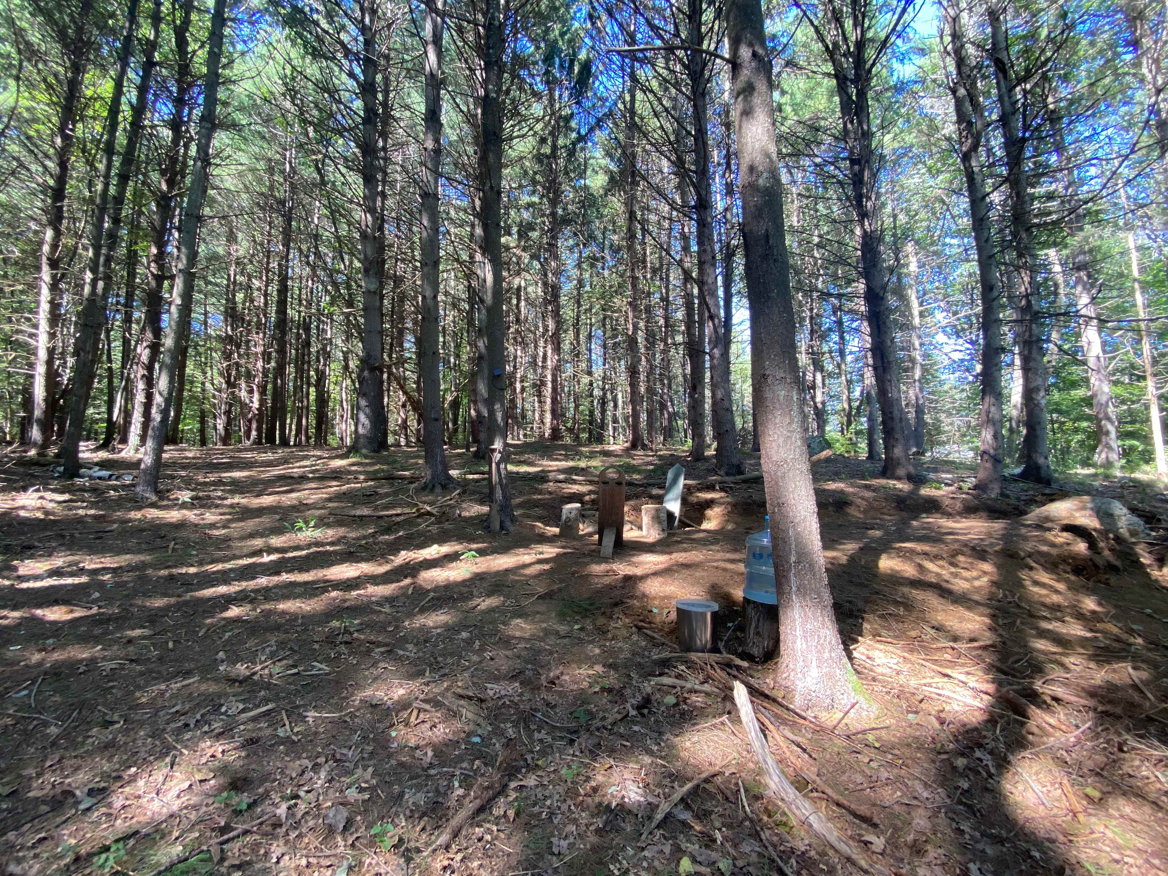 Picture of the site