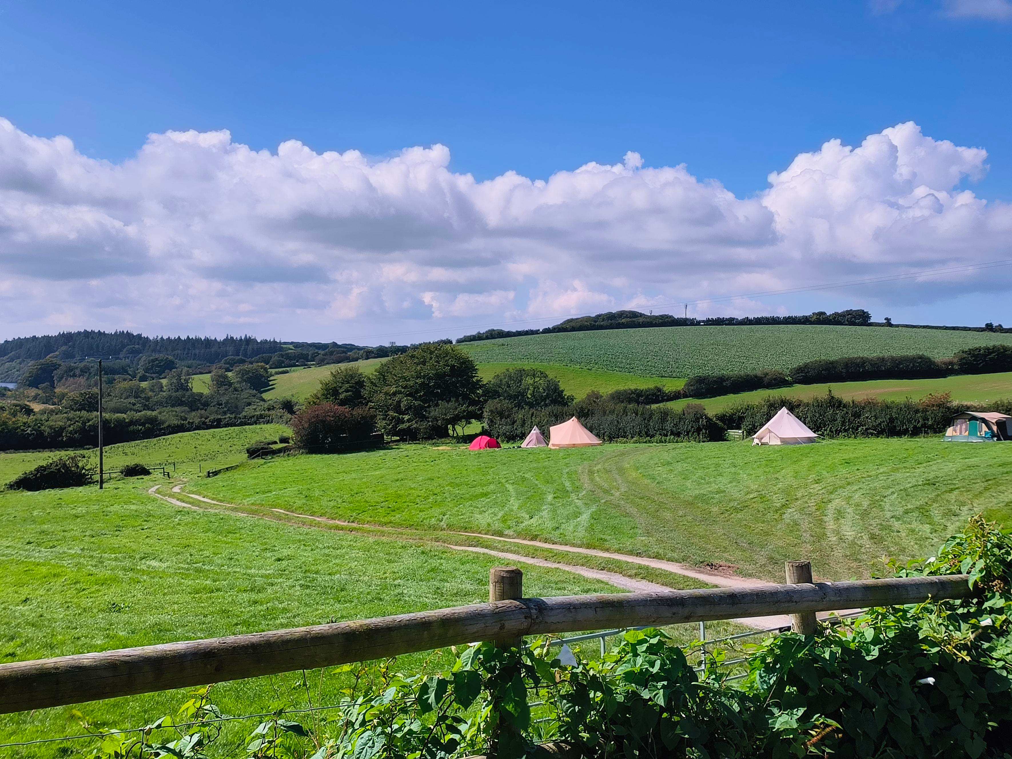 Westland Farm