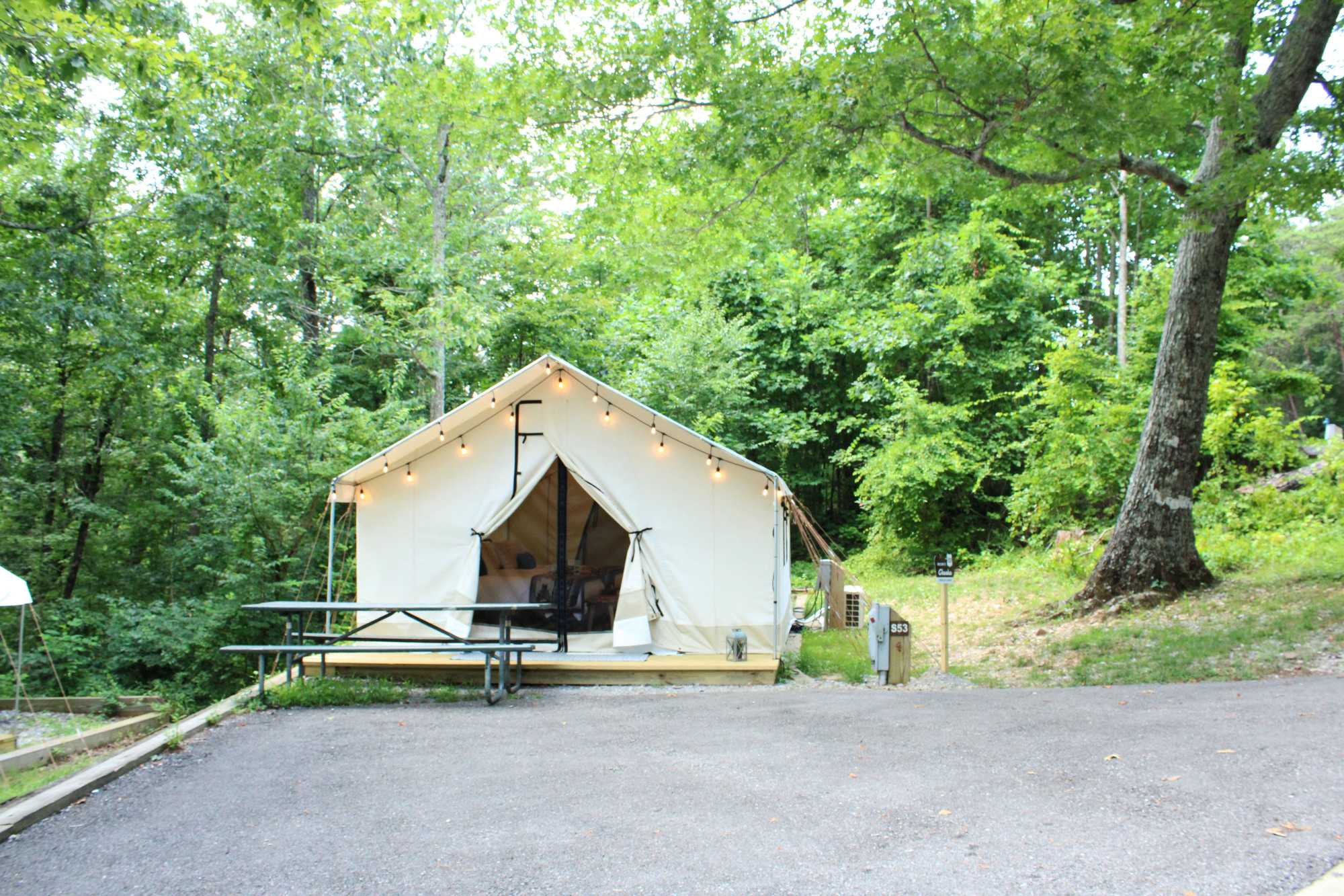 Picture of the site