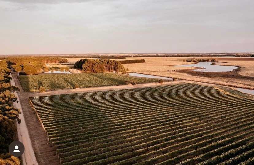 Alt Road Winery
