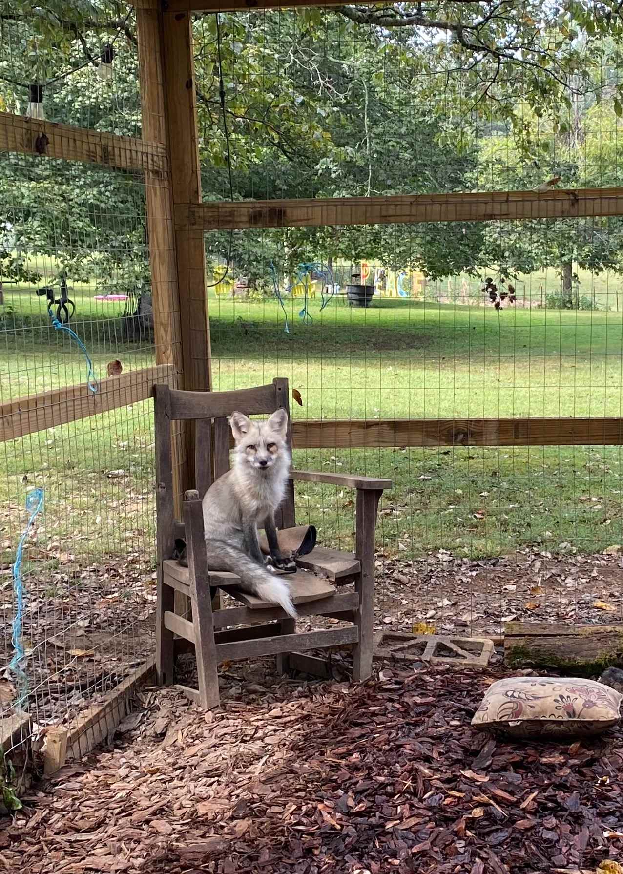This guy knows how to pose for a photo!