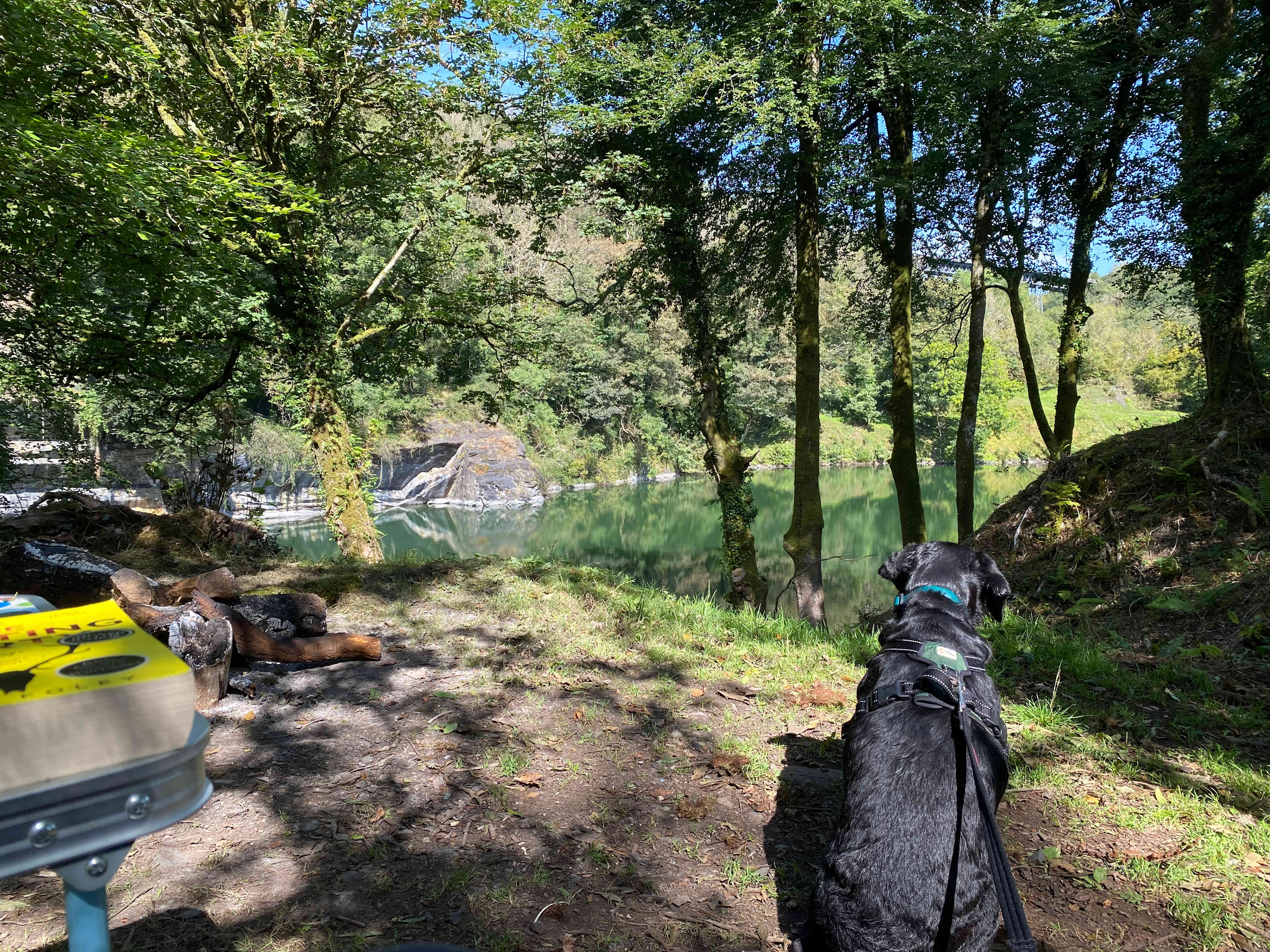 Meldon Lake and Woods Wild Camping