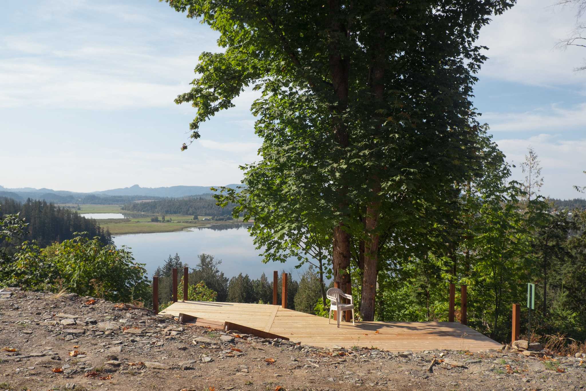 The Lookout
