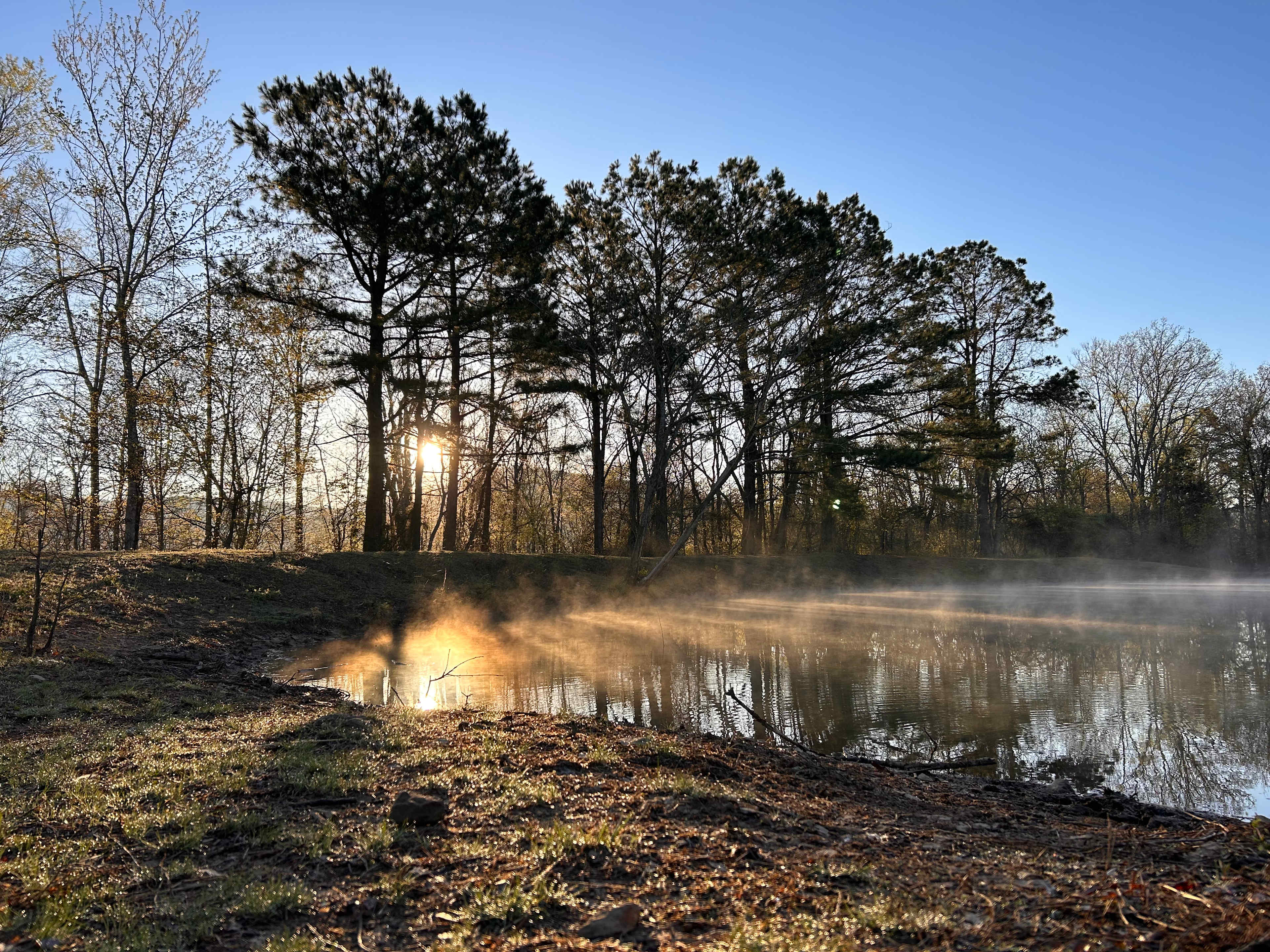 Flemings Creek Campground