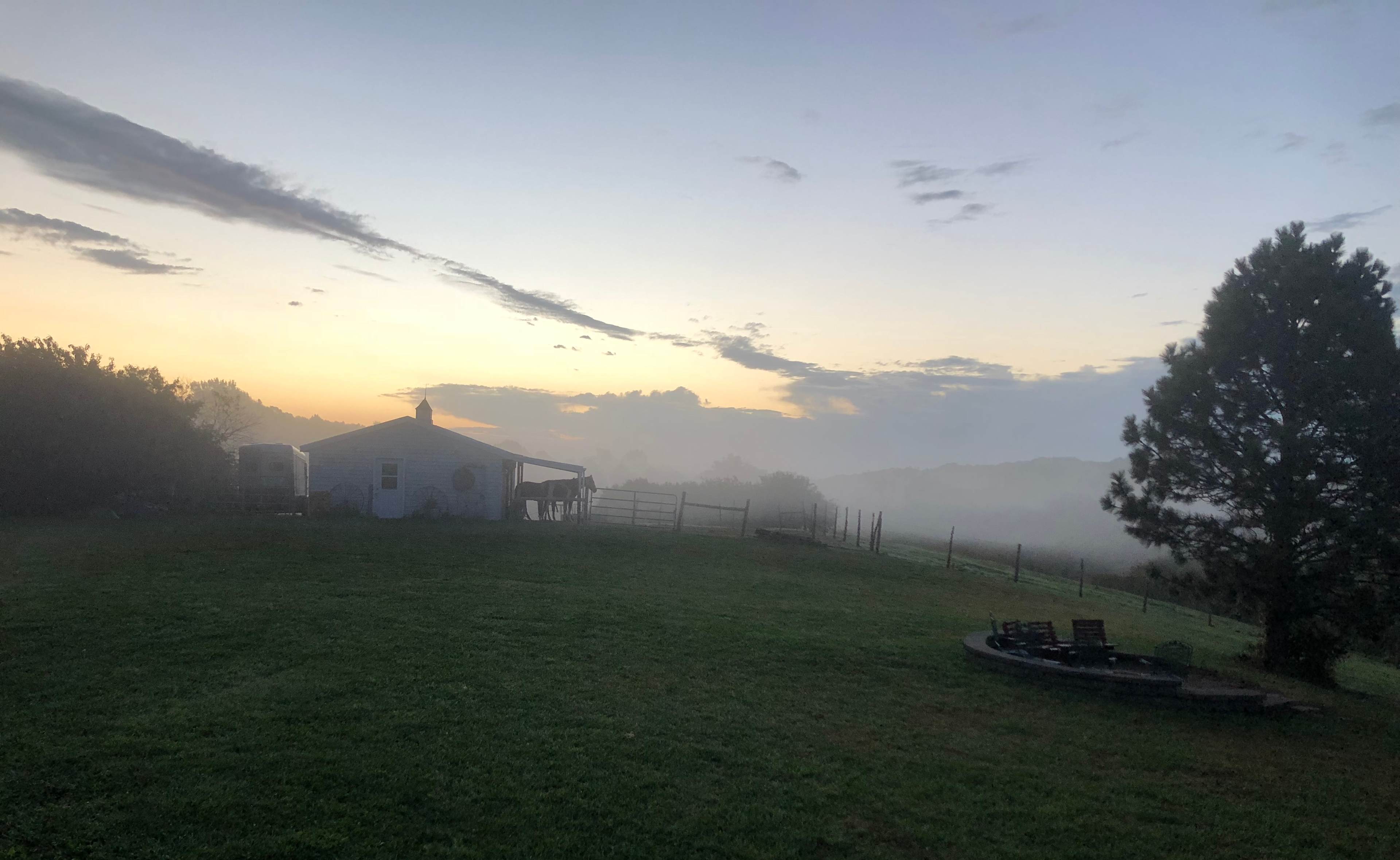 Foggy Sunrise
