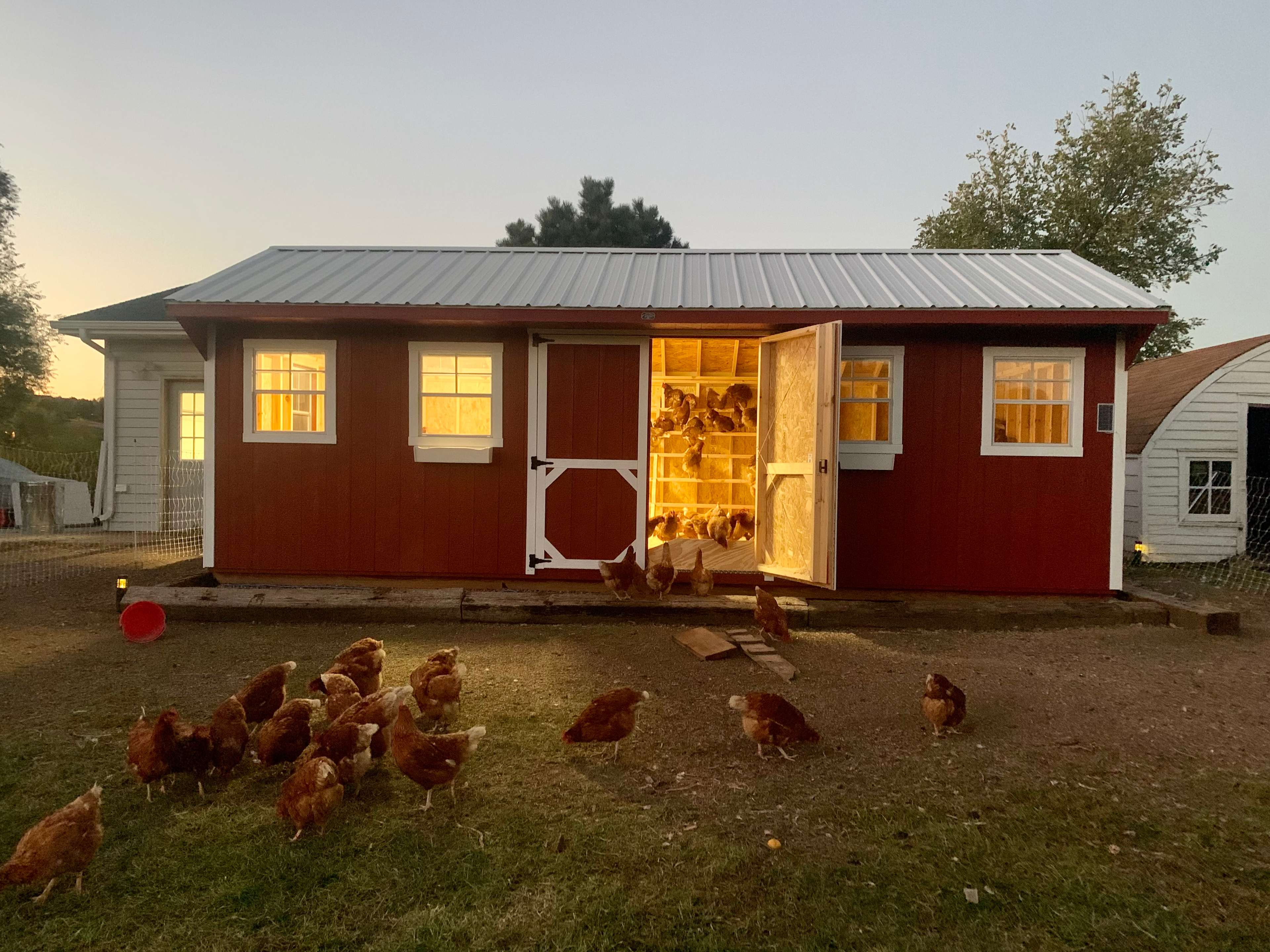 Chicken Coop
