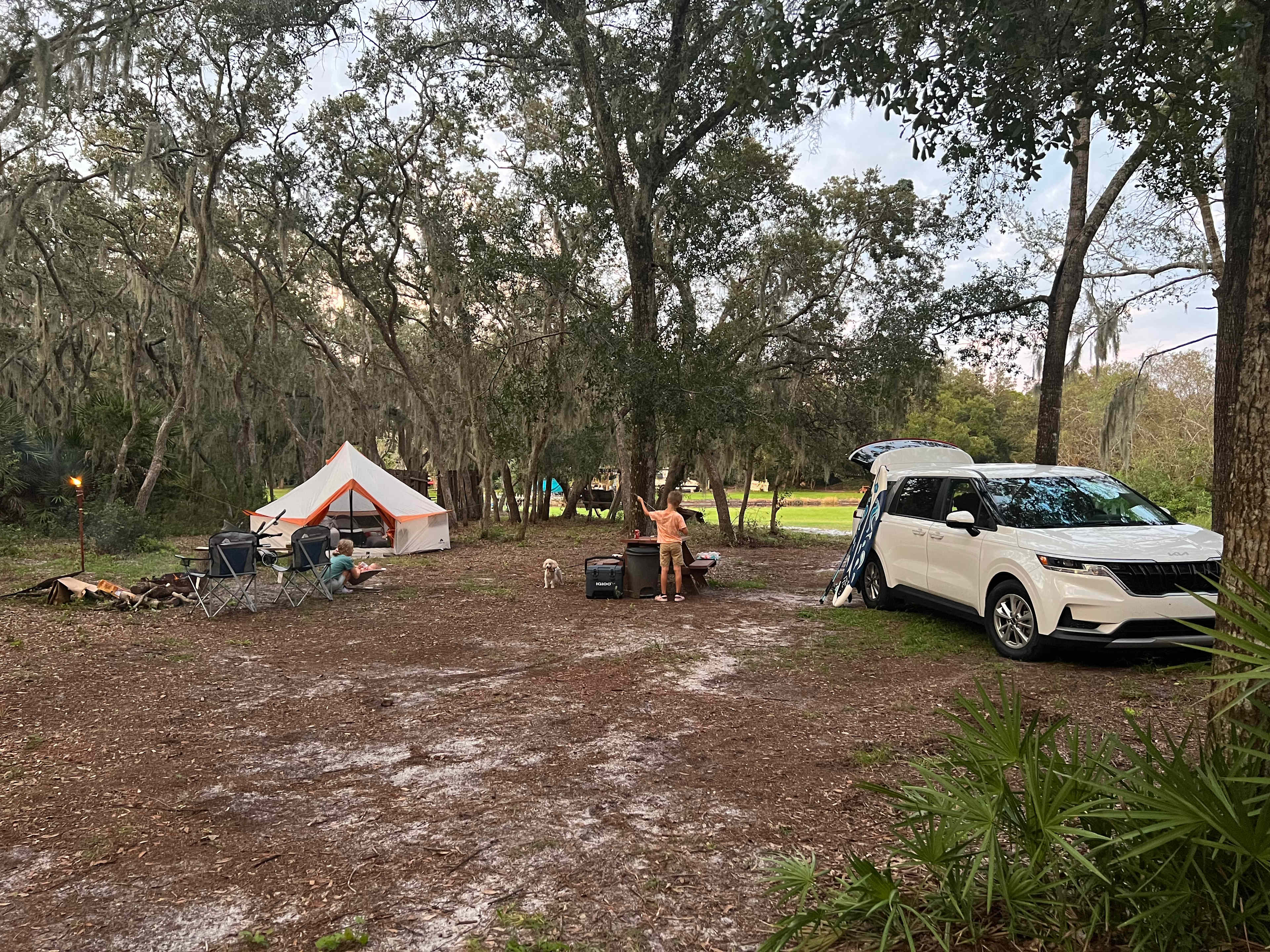 Picture of the site
